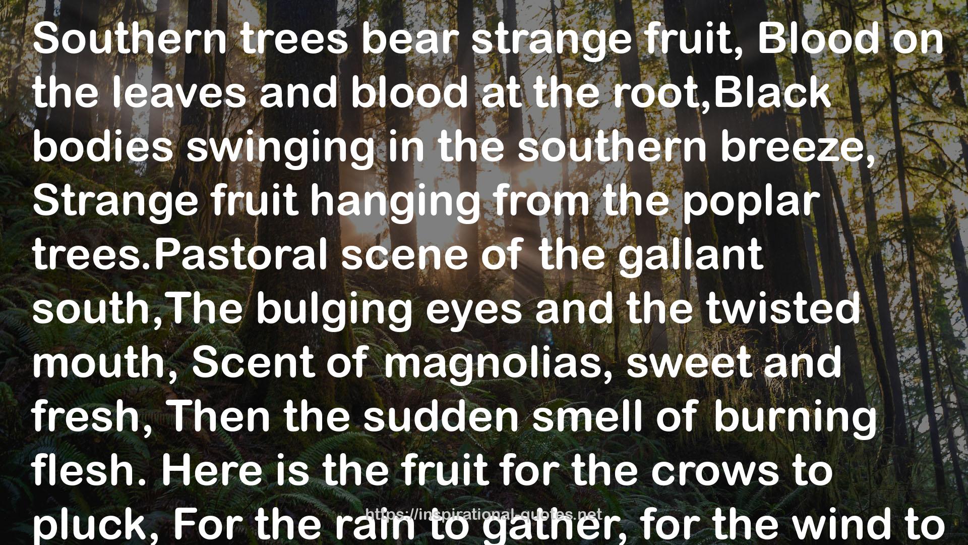 Strange Fruit  QUOTES