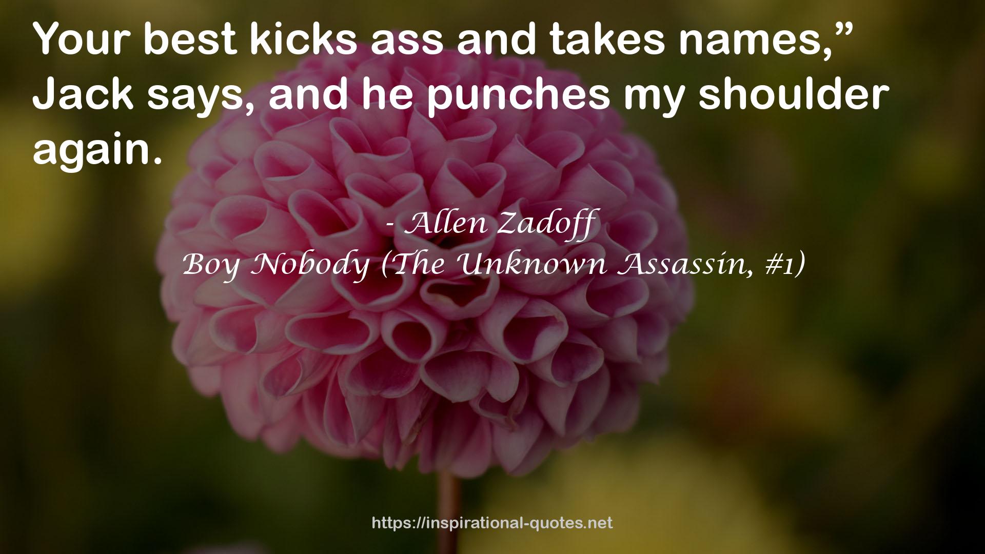 Boy Nobody (The Unknown Assassin, #1) QUOTES