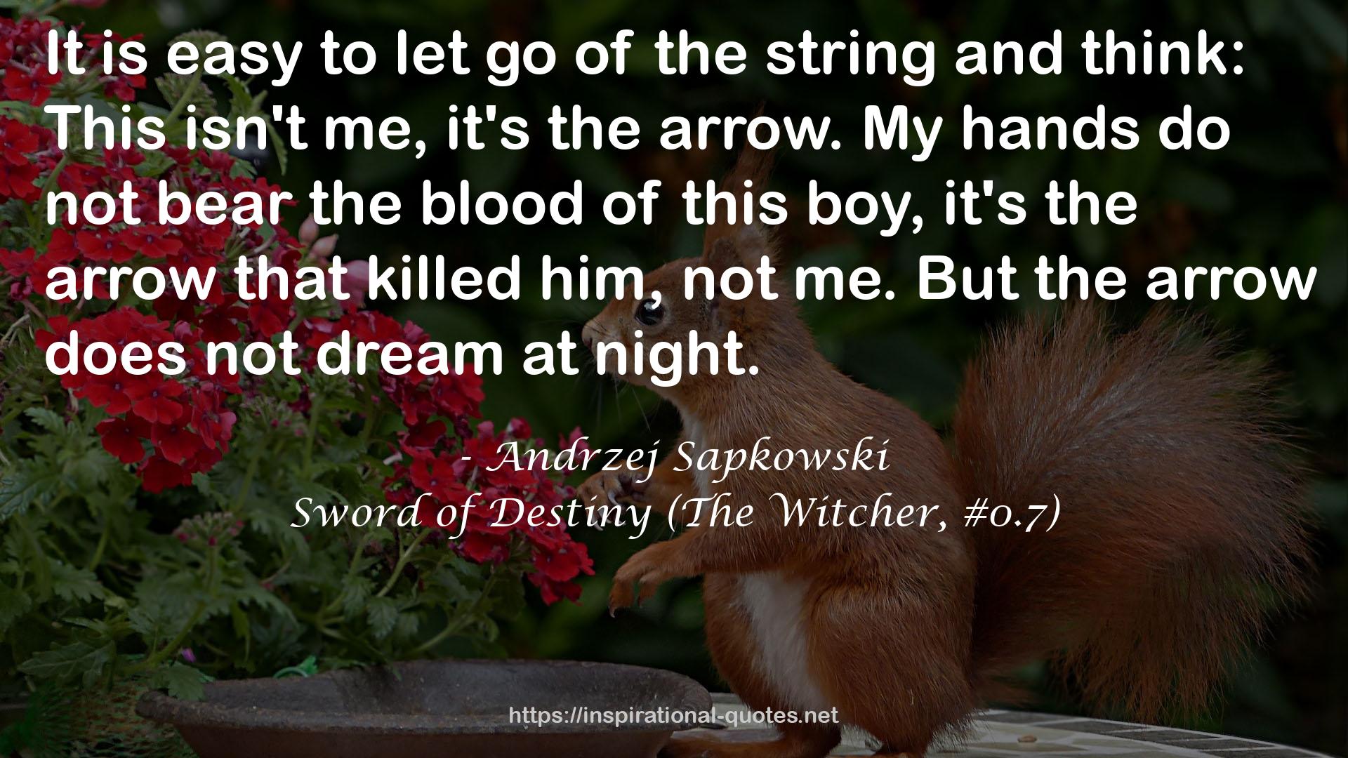 Sword of Destiny (The Witcher, #0.7) QUOTES