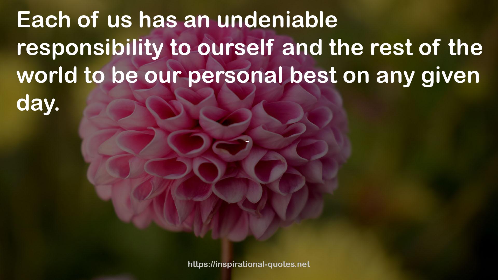 an undeniable responsibility  QUOTES