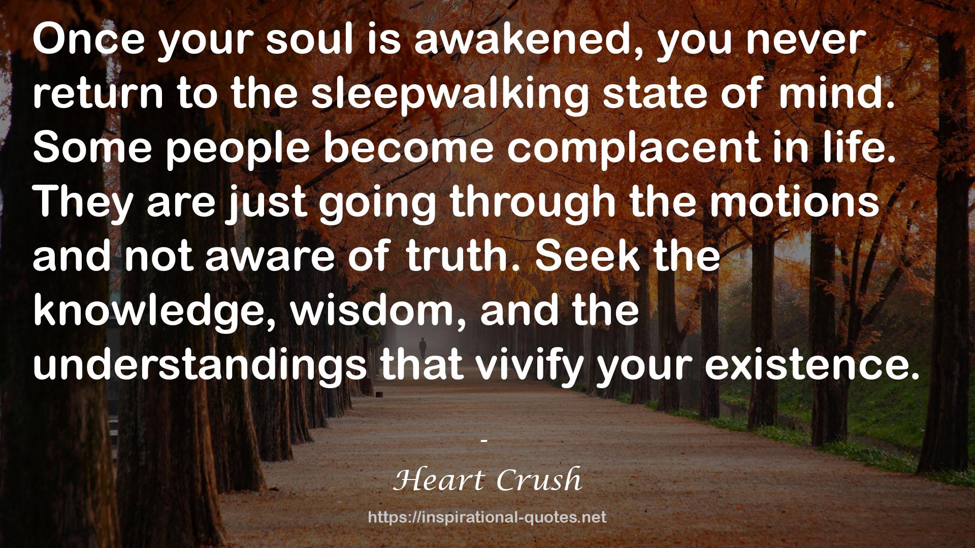 the sleepwalking state  QUOTES