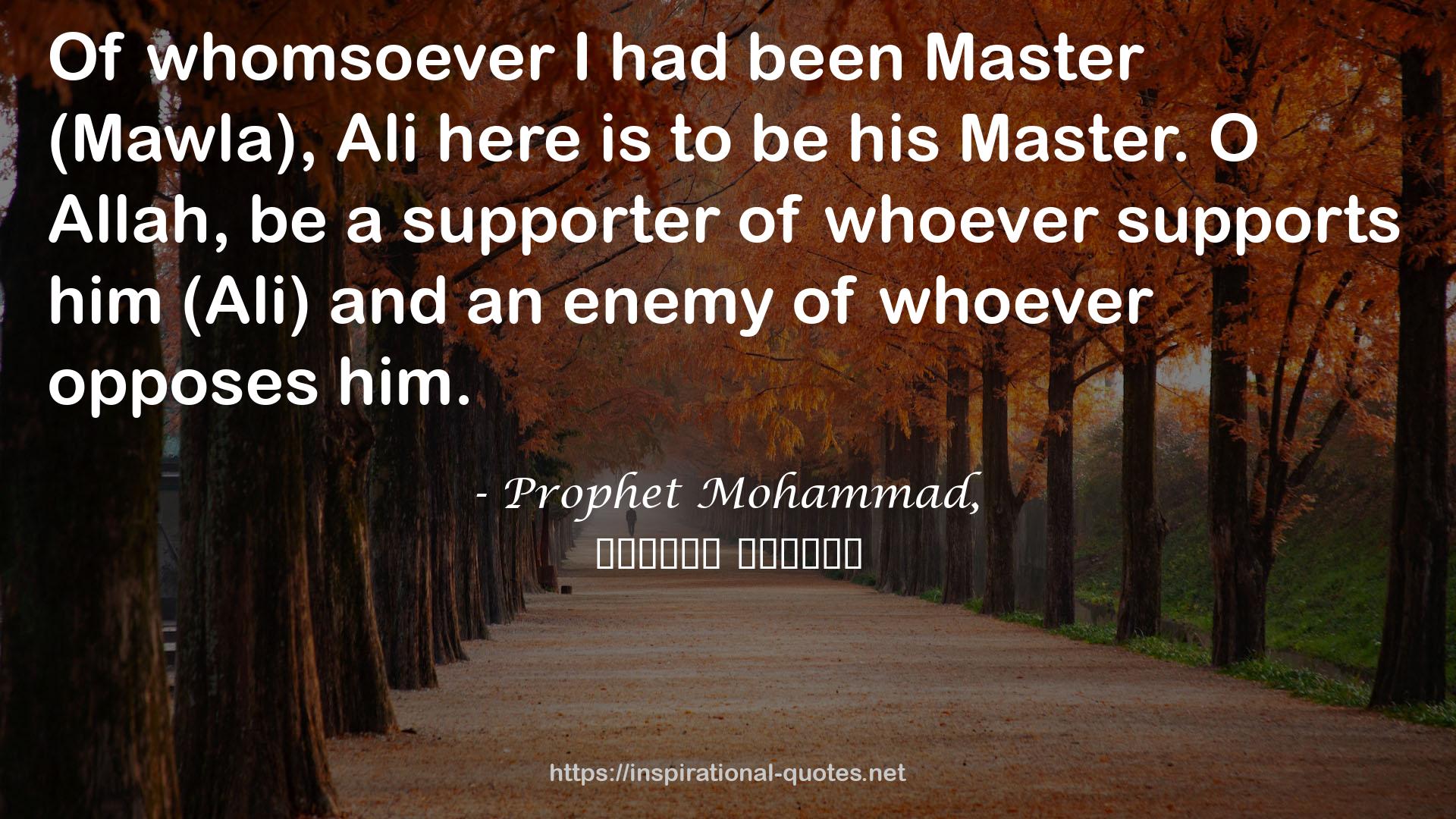 Prophet Mohammad, QUOTES