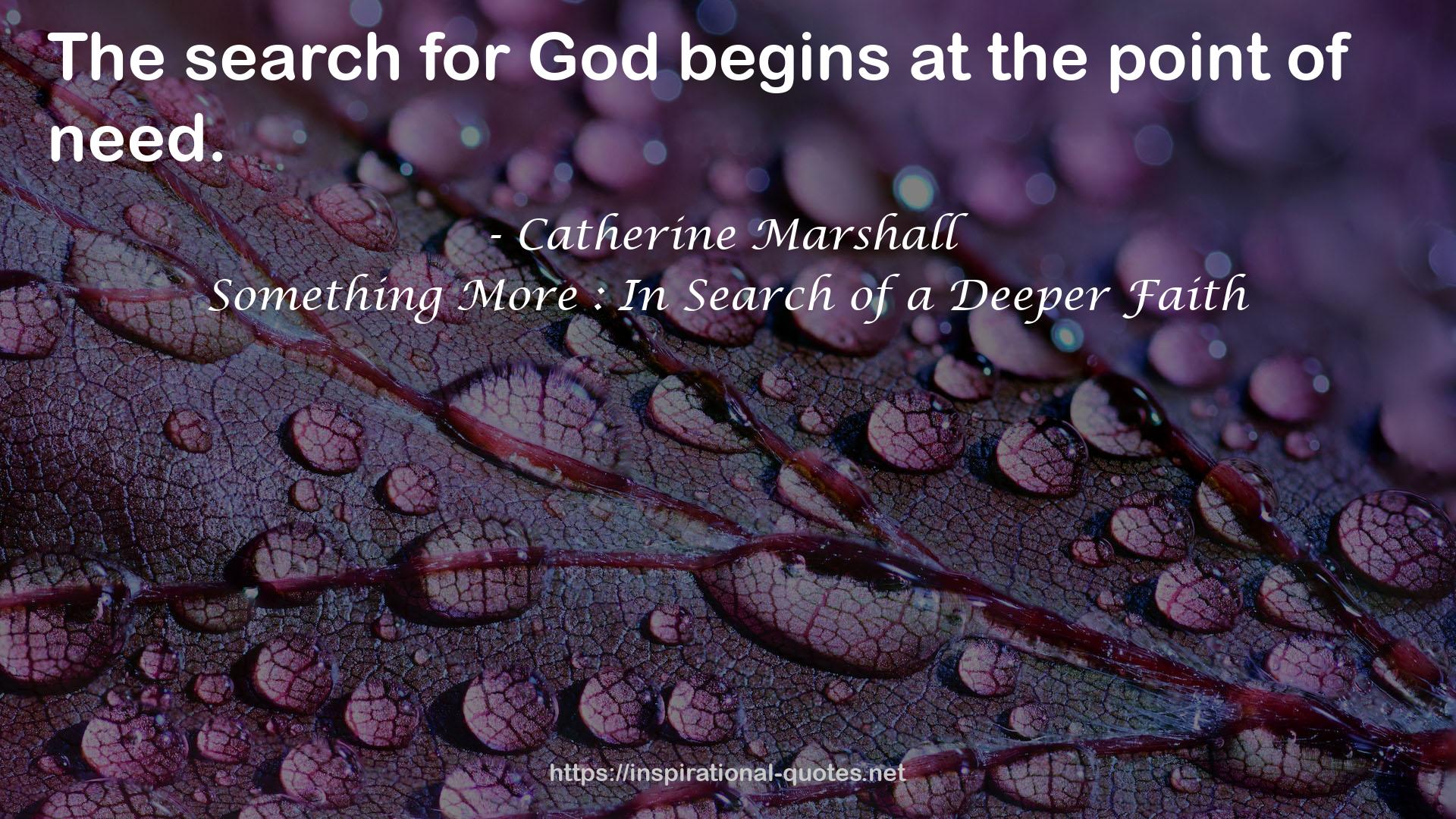 Something More : In Search of a Deeper Faith QUOTES