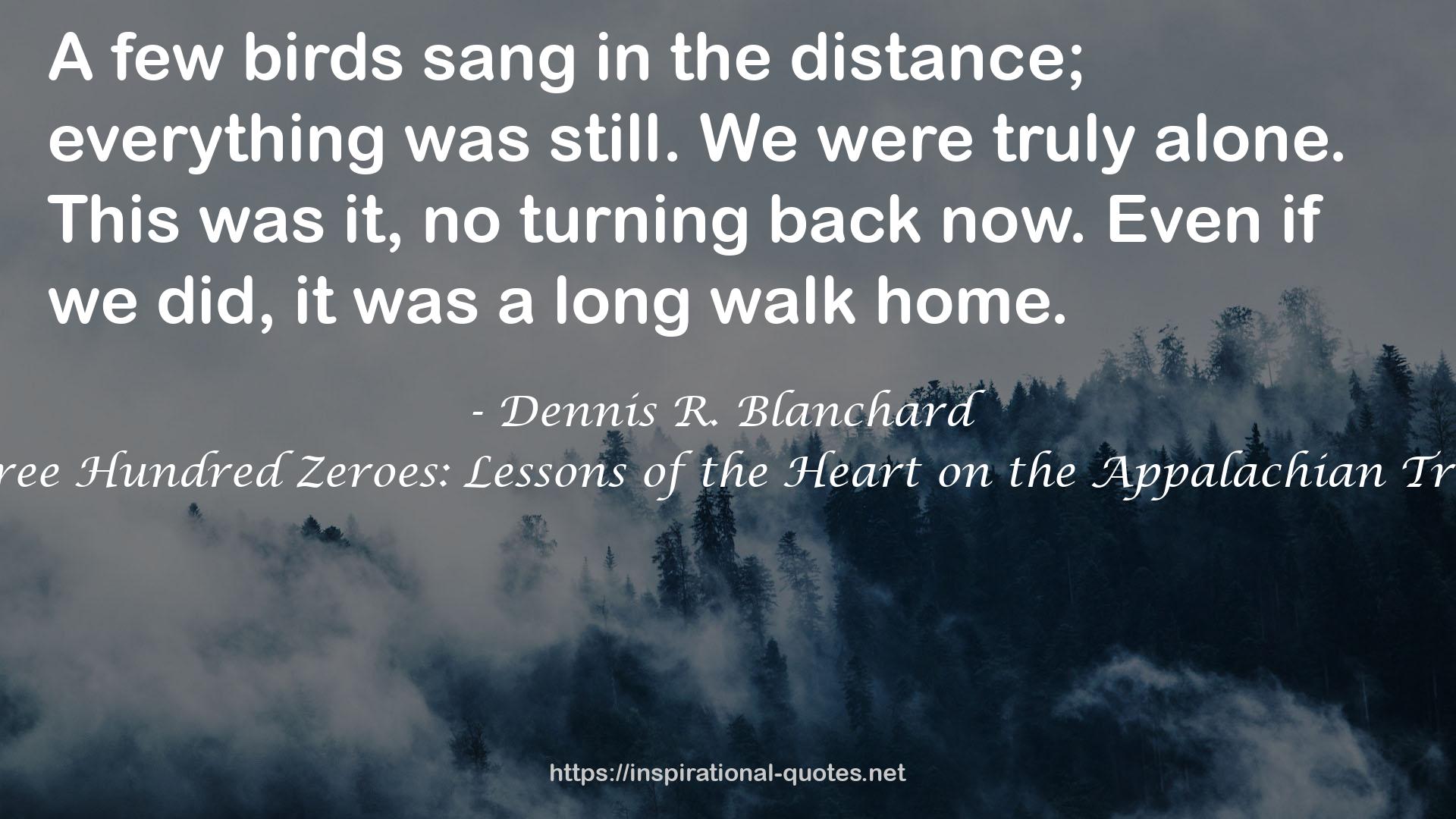 Three Hundred Zeroes: Lessons of the Heart on the Appalachian Trail QUOTES