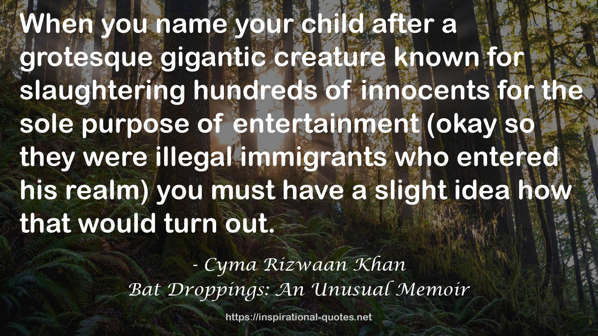 illegal immigrants  QUOTES