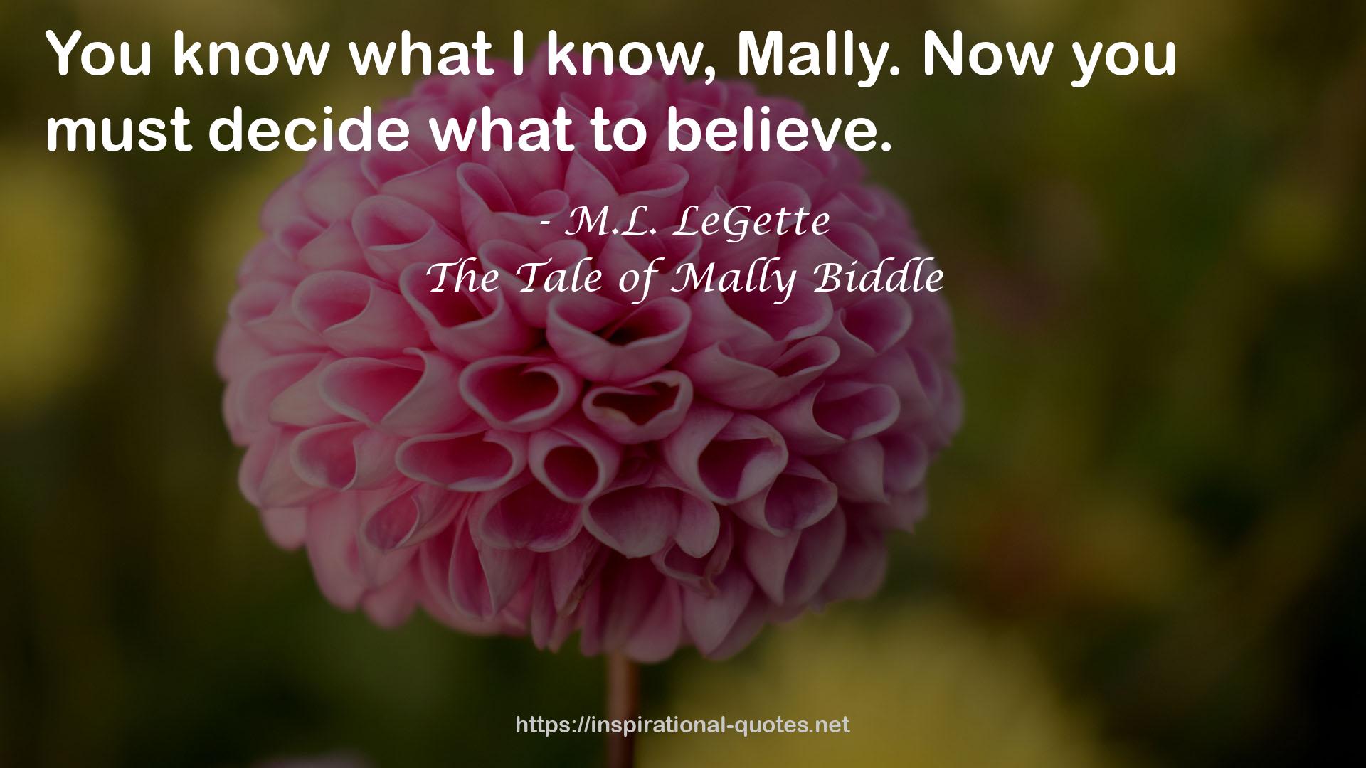 The Tale of Mally Biddle QUOTES