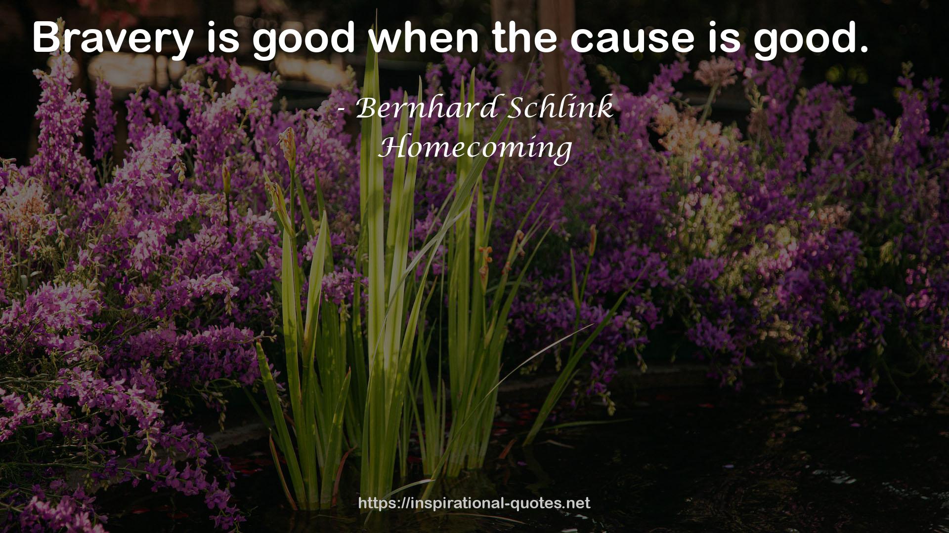 Bernhard Schlink QUOTES