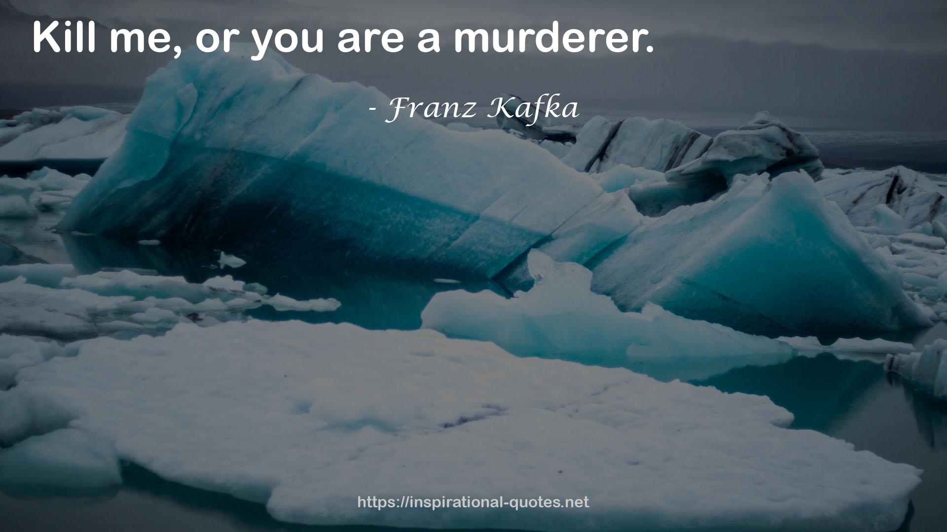 a murderer  QUOTES