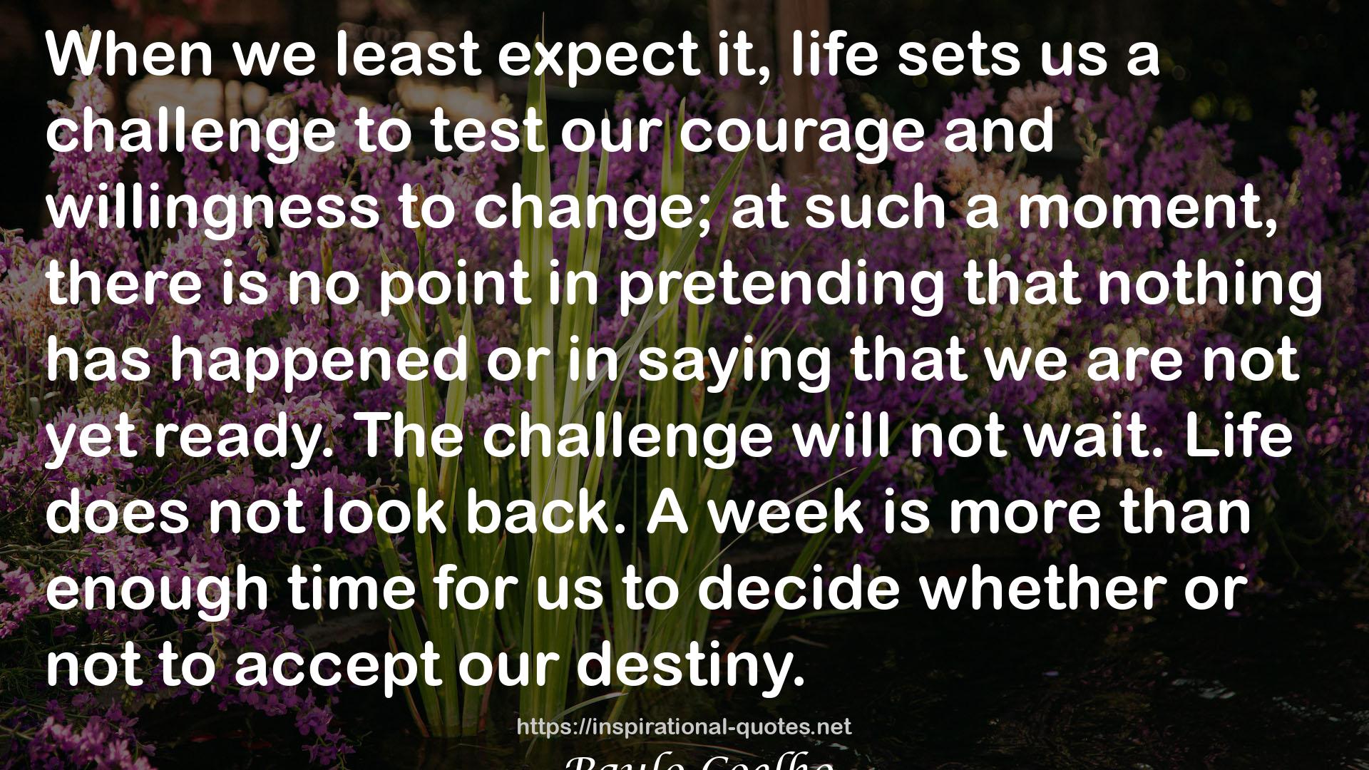our courage  QUOTES