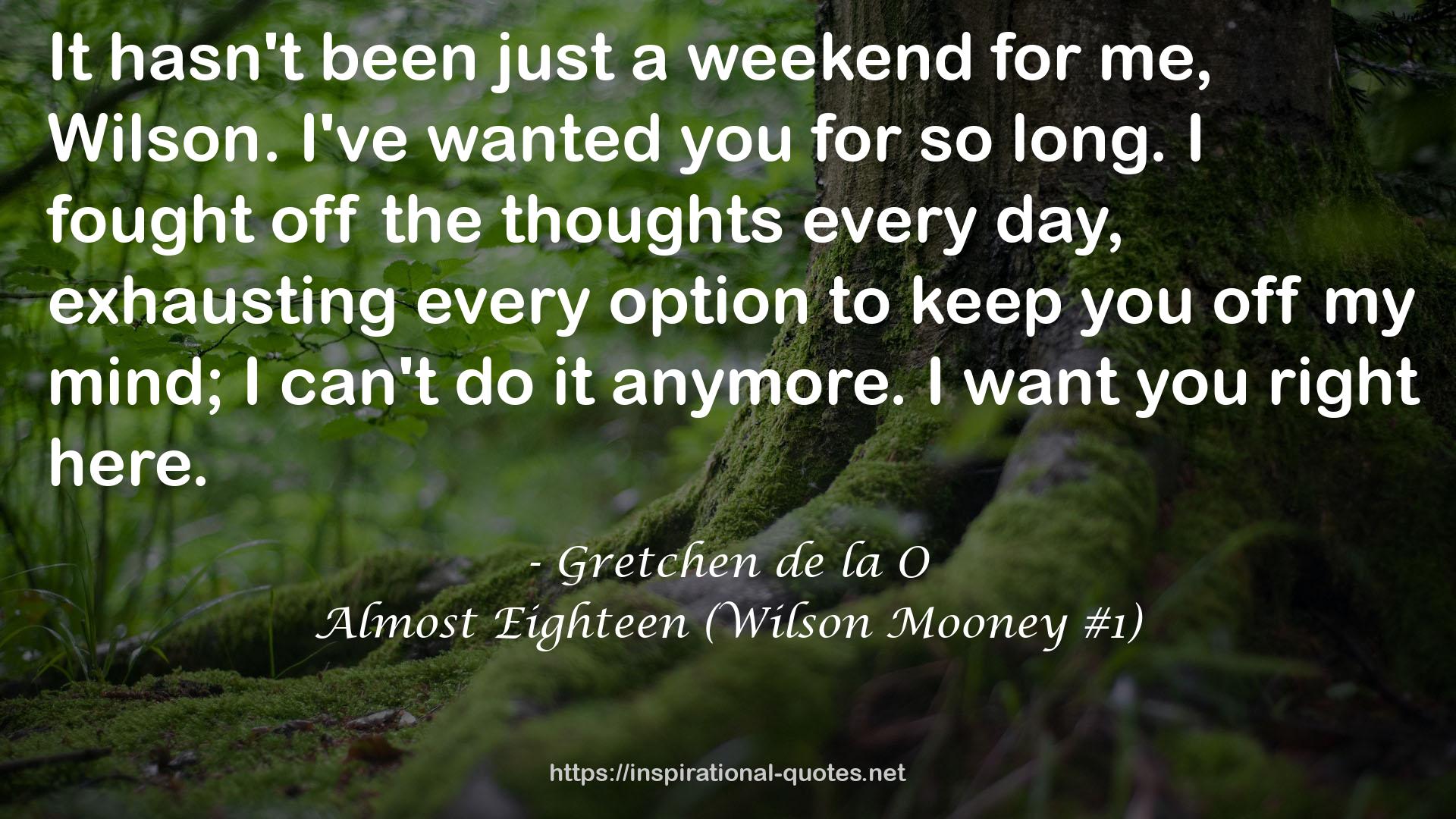 Almost Eighteen (Wilson Mooney #1) QUOTES