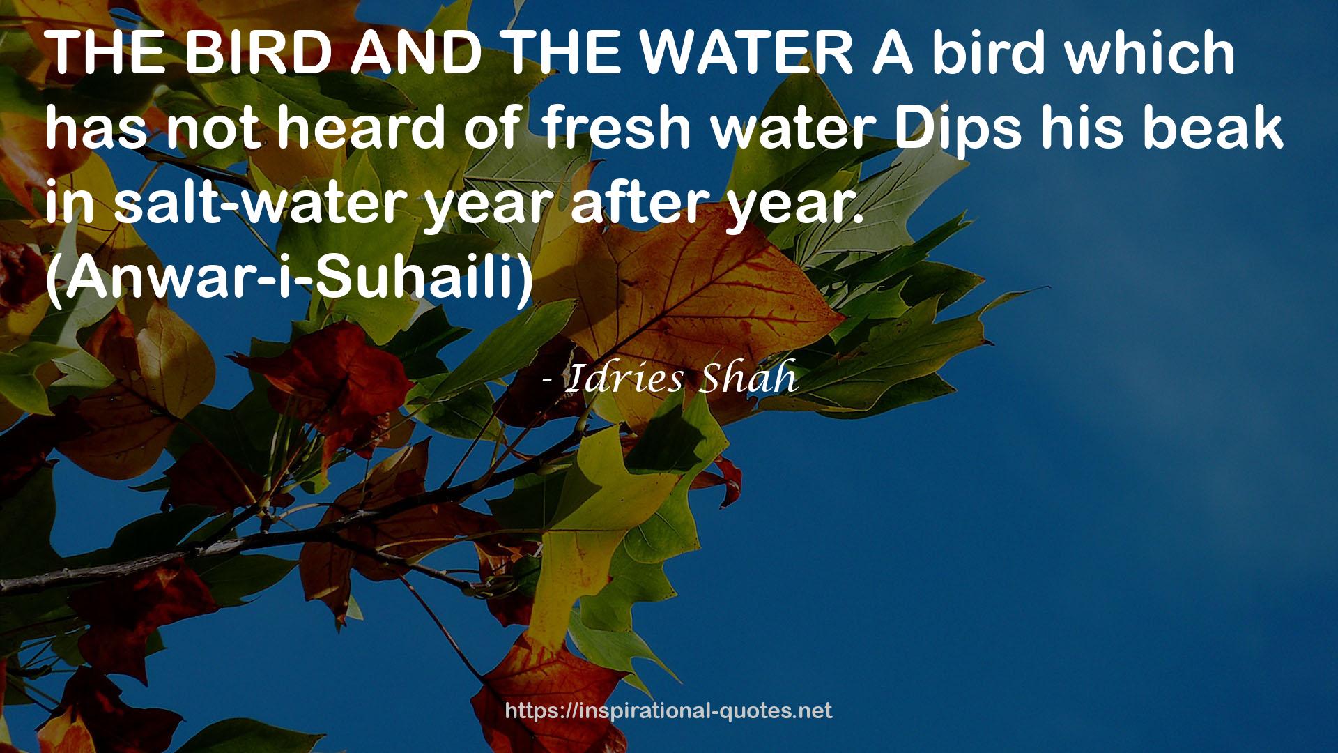 fresh waterDips  QUOTES