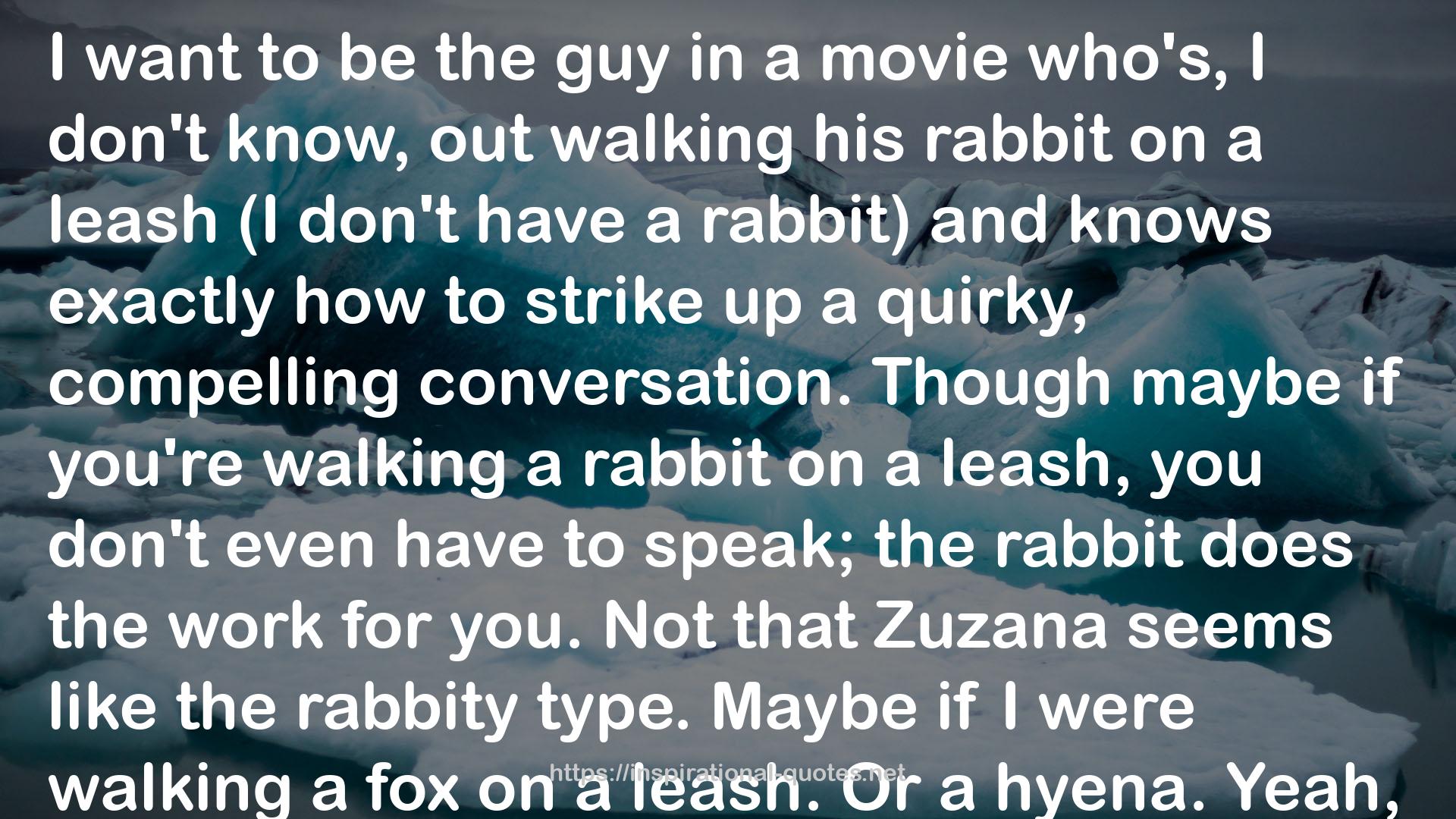 his rabbit  QUOTES