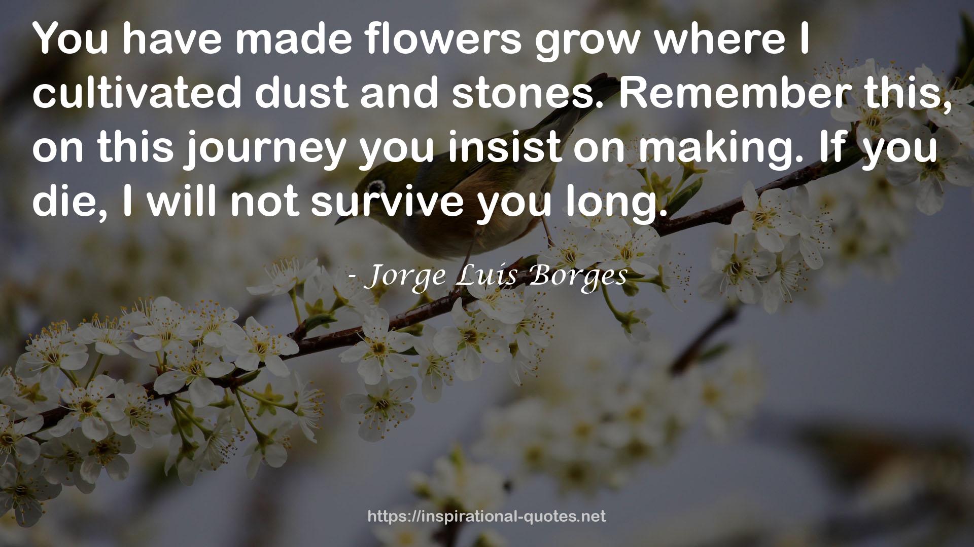 Flowers  QUOTES