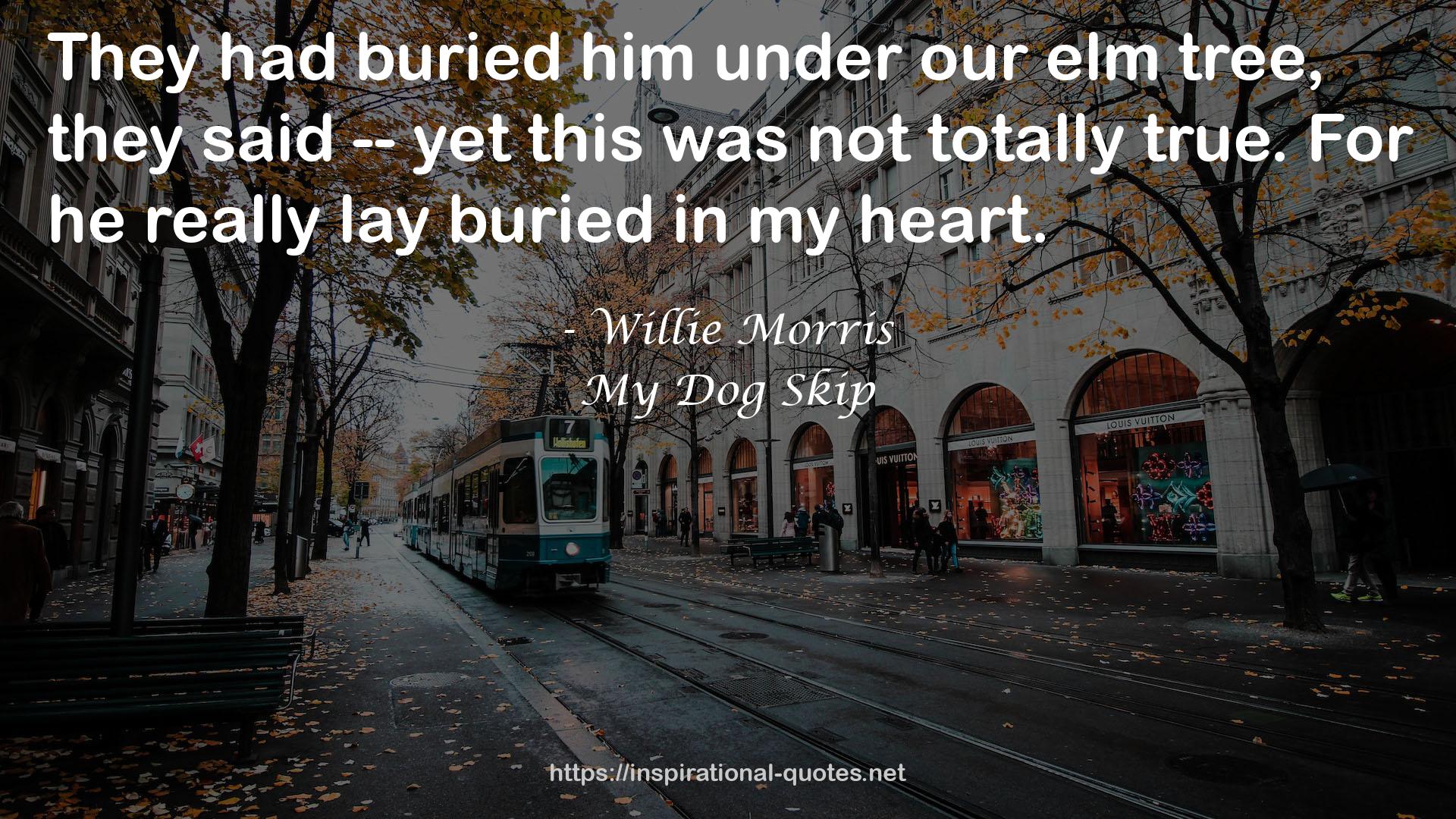 Willie Morris QUOTES