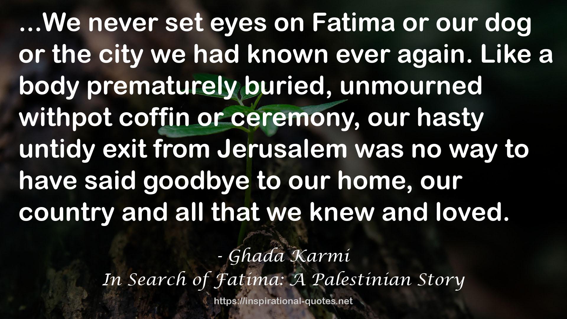 In Search of Fatima: A Palestinian Story QUOTES
