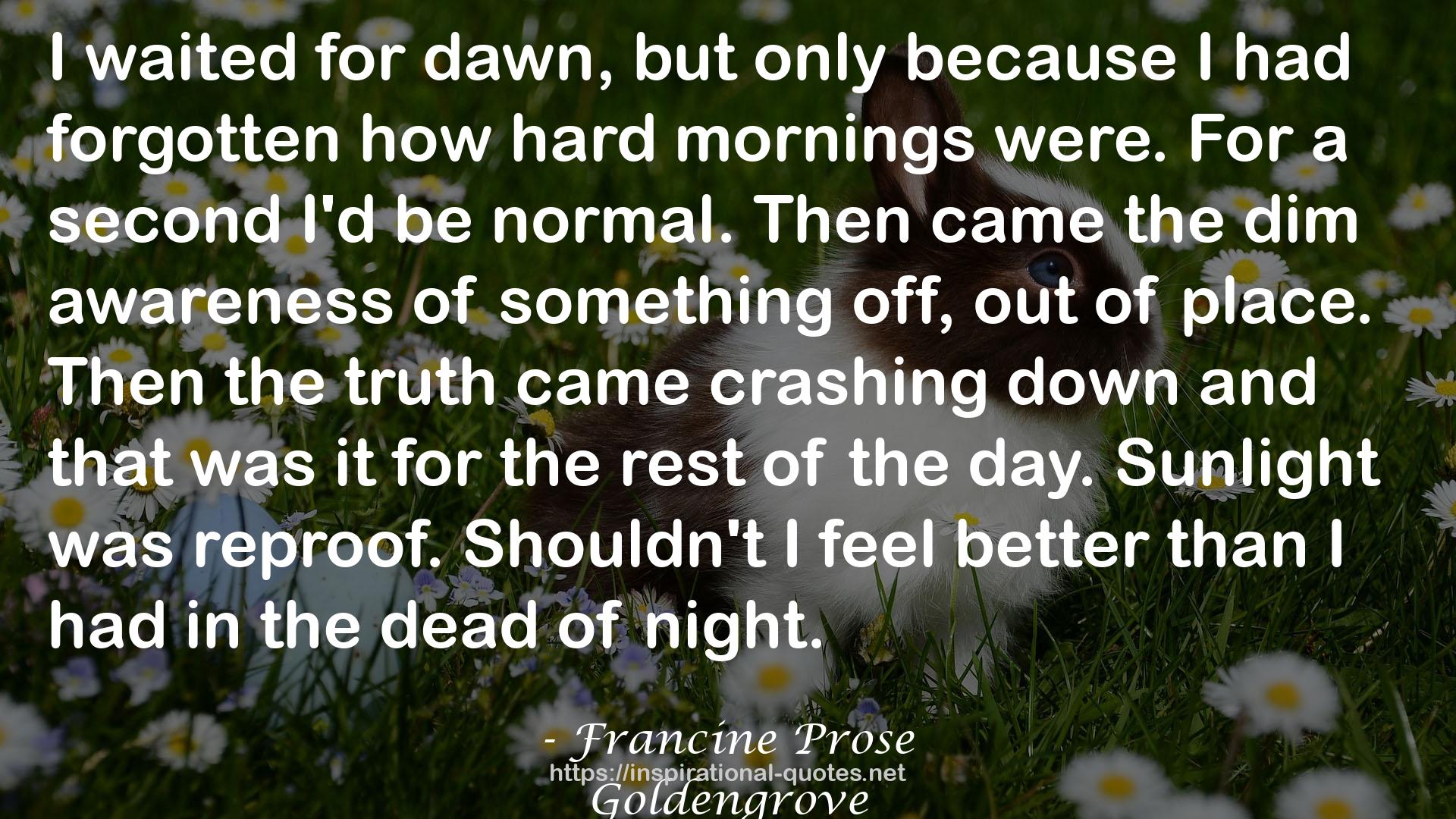 Francine Prose QUOTES