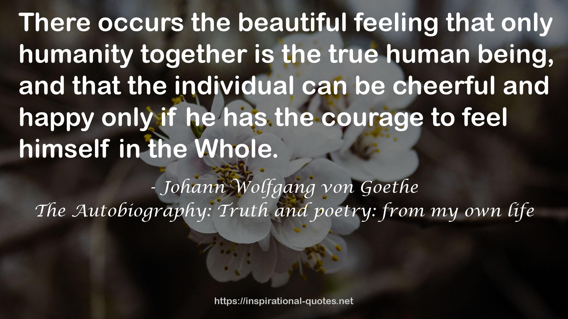 The Autobiography: Truth and poetry: from my own life QUOTES