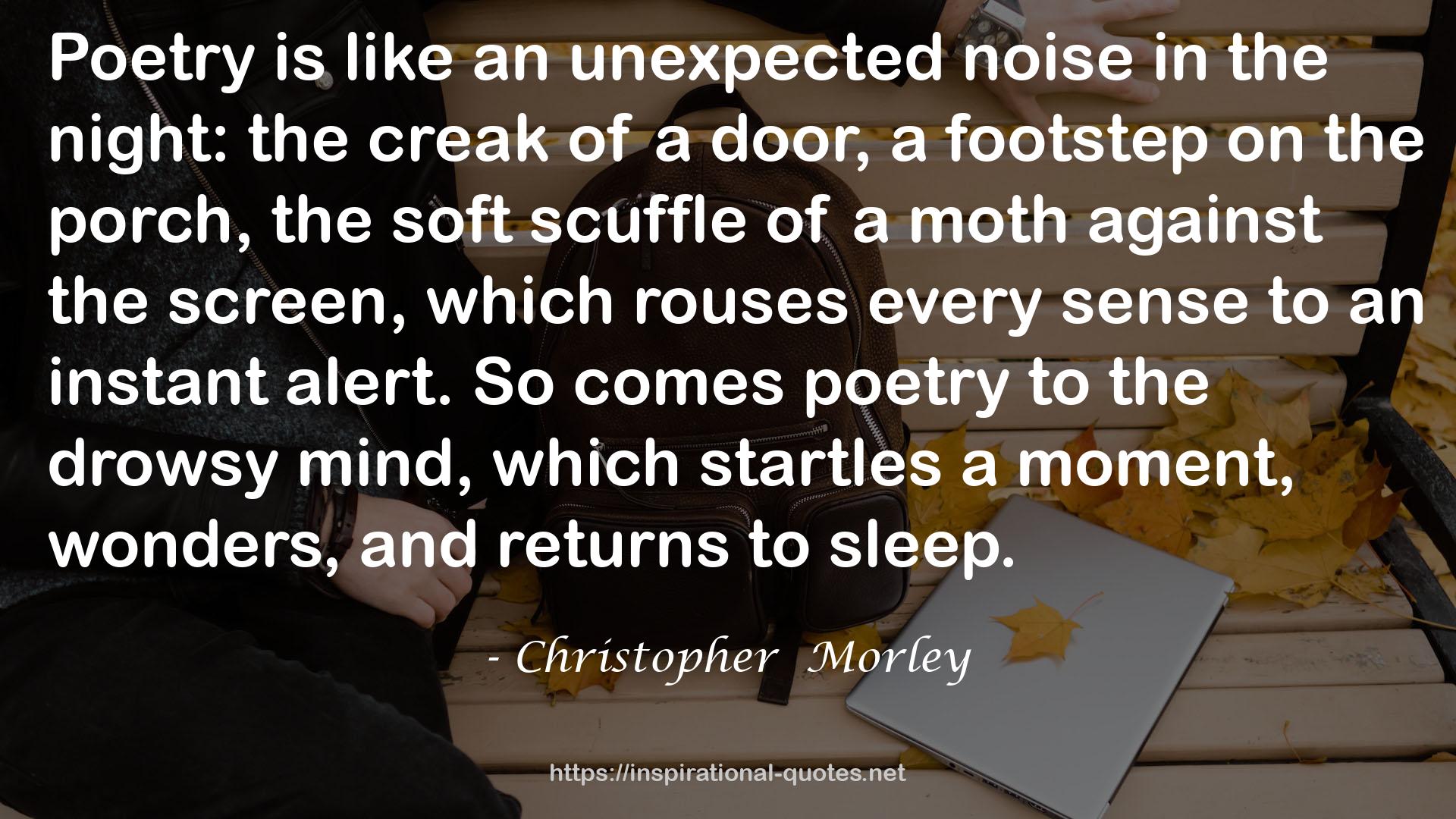 an unexpected noise  QUOTES