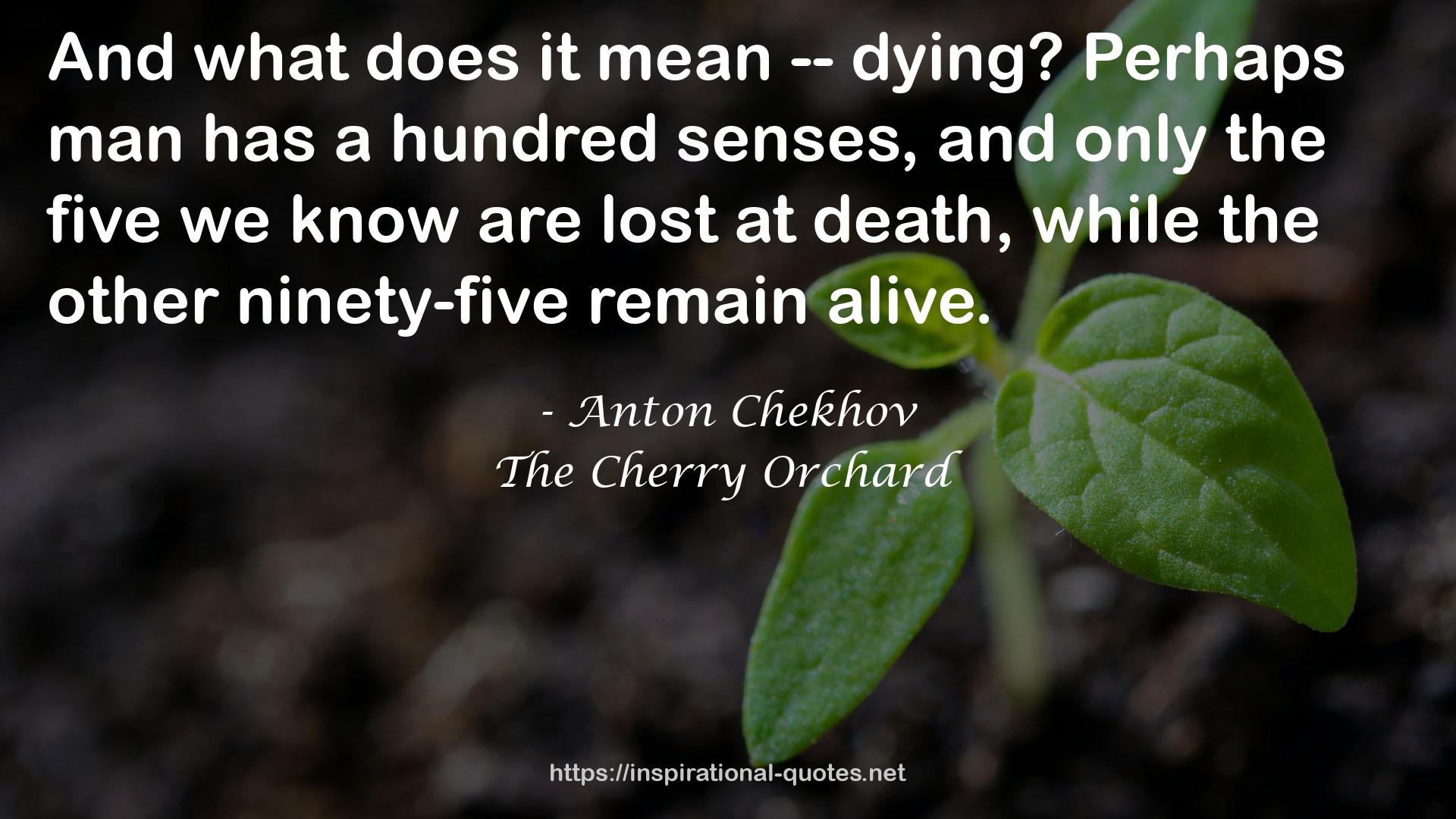 The Cherry Orchard QUOTES