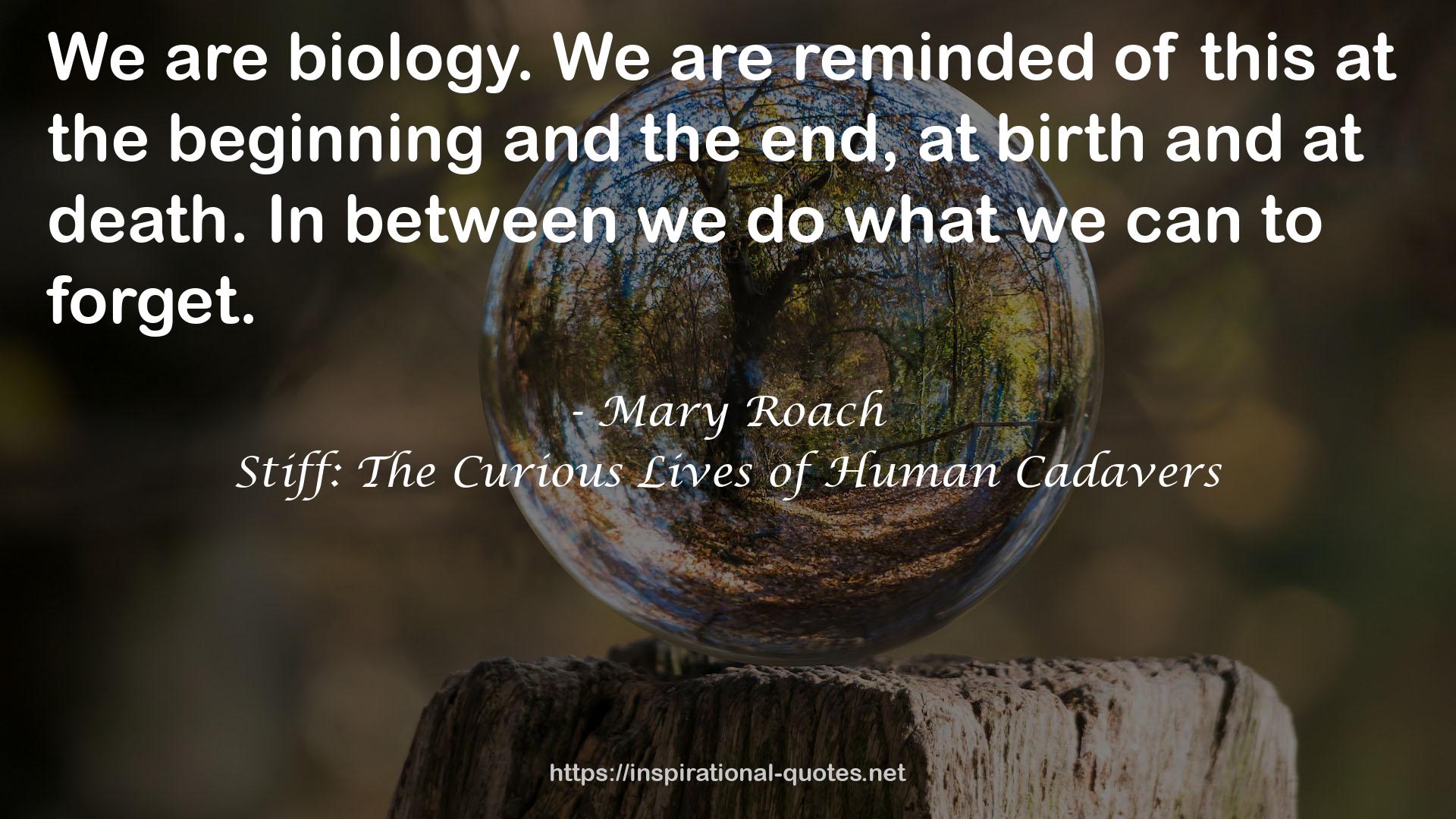 Mary Roach QUOTES