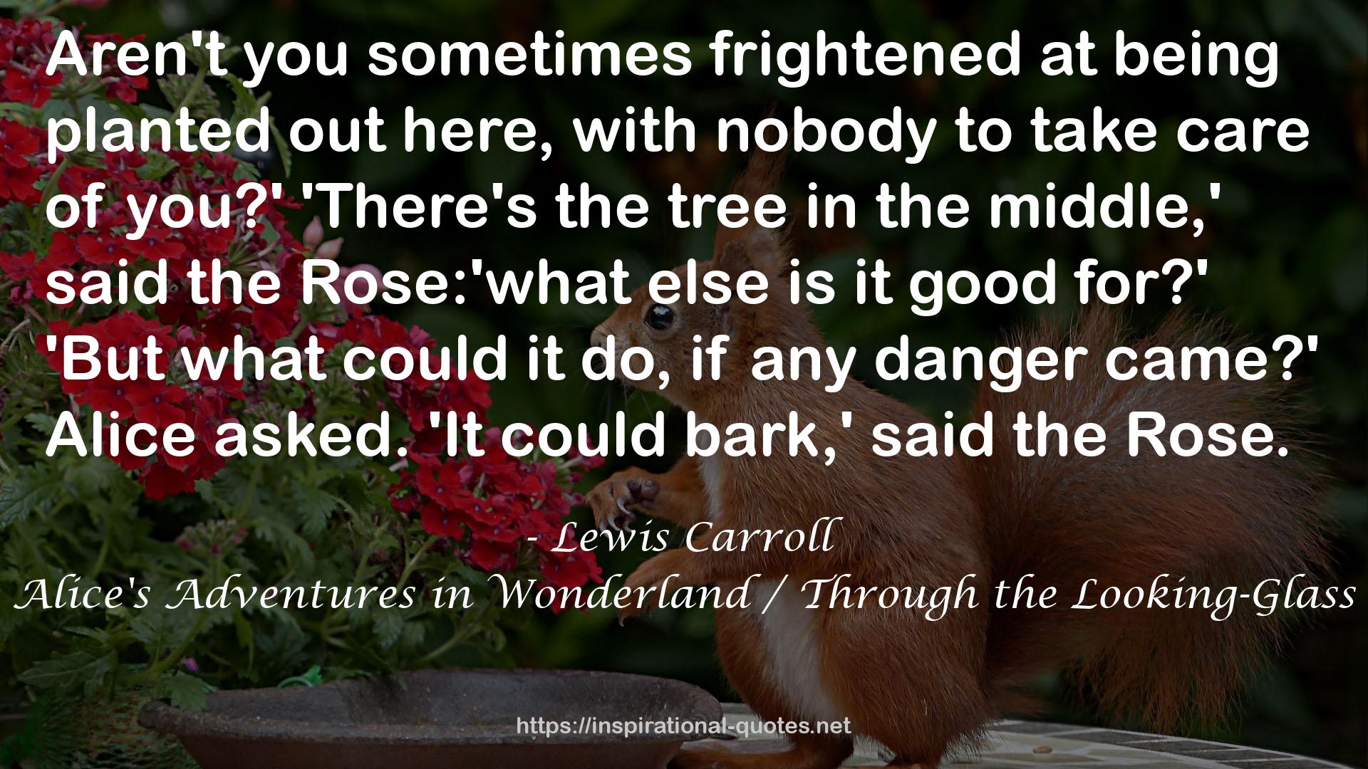 Rose:'what  QUOTES