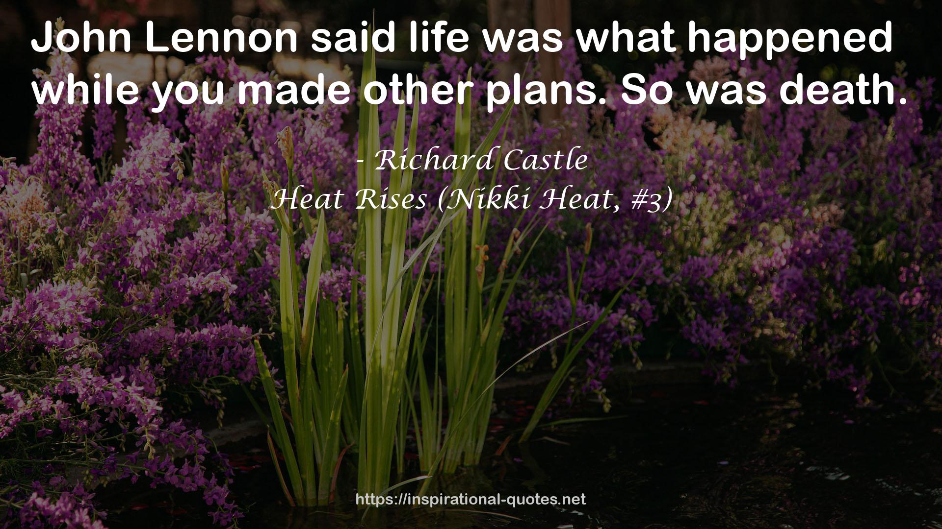 Heat Rises (Nikki Heat, #3) QUOTES