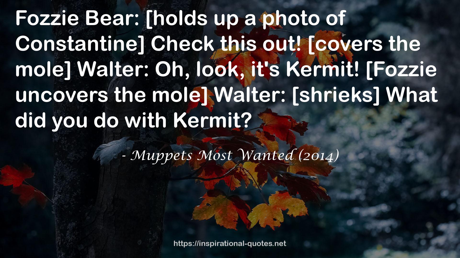 Muppets Most Wanted (2014) QUOTES