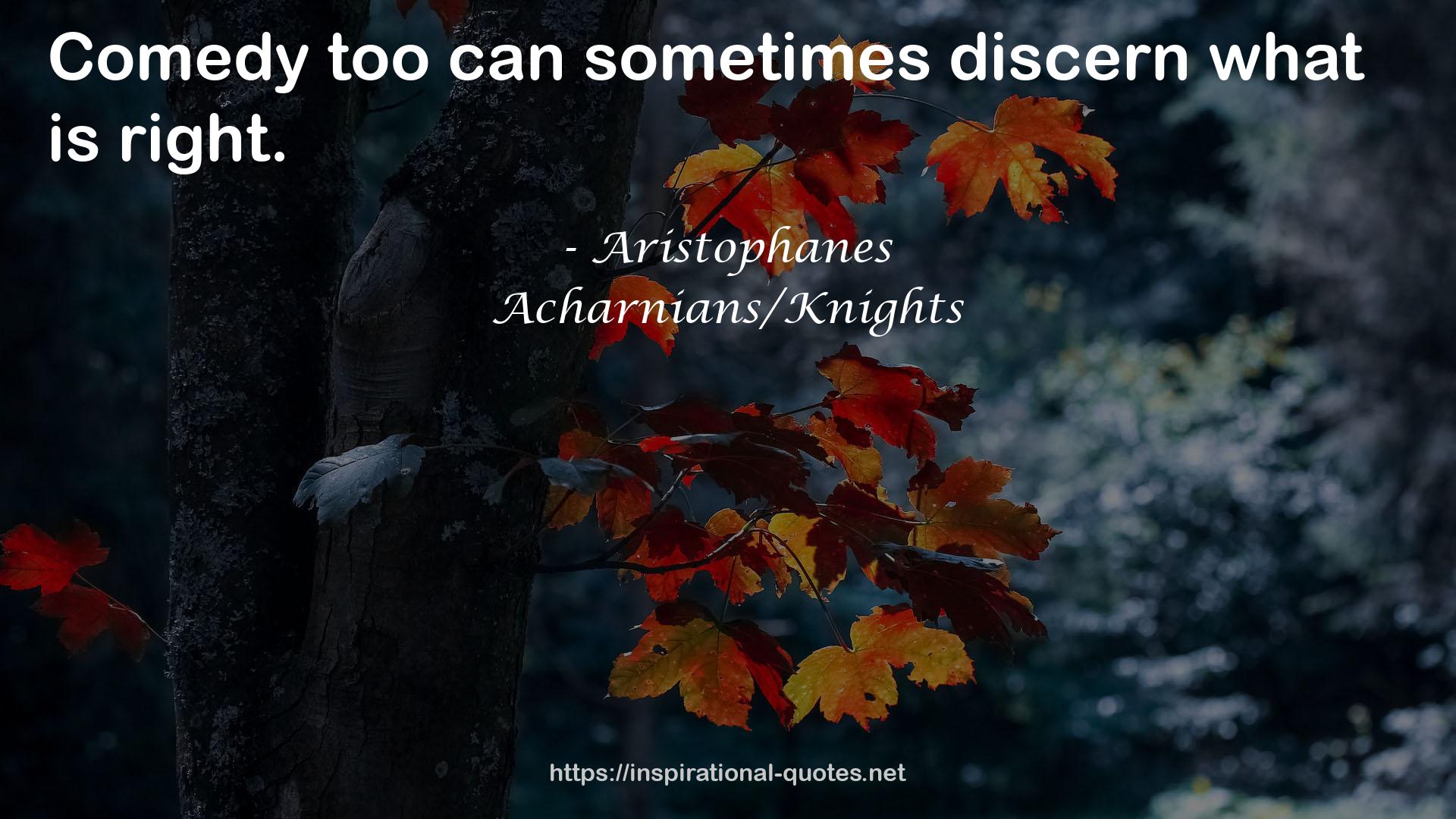 Acharnians/Knights QUOTES