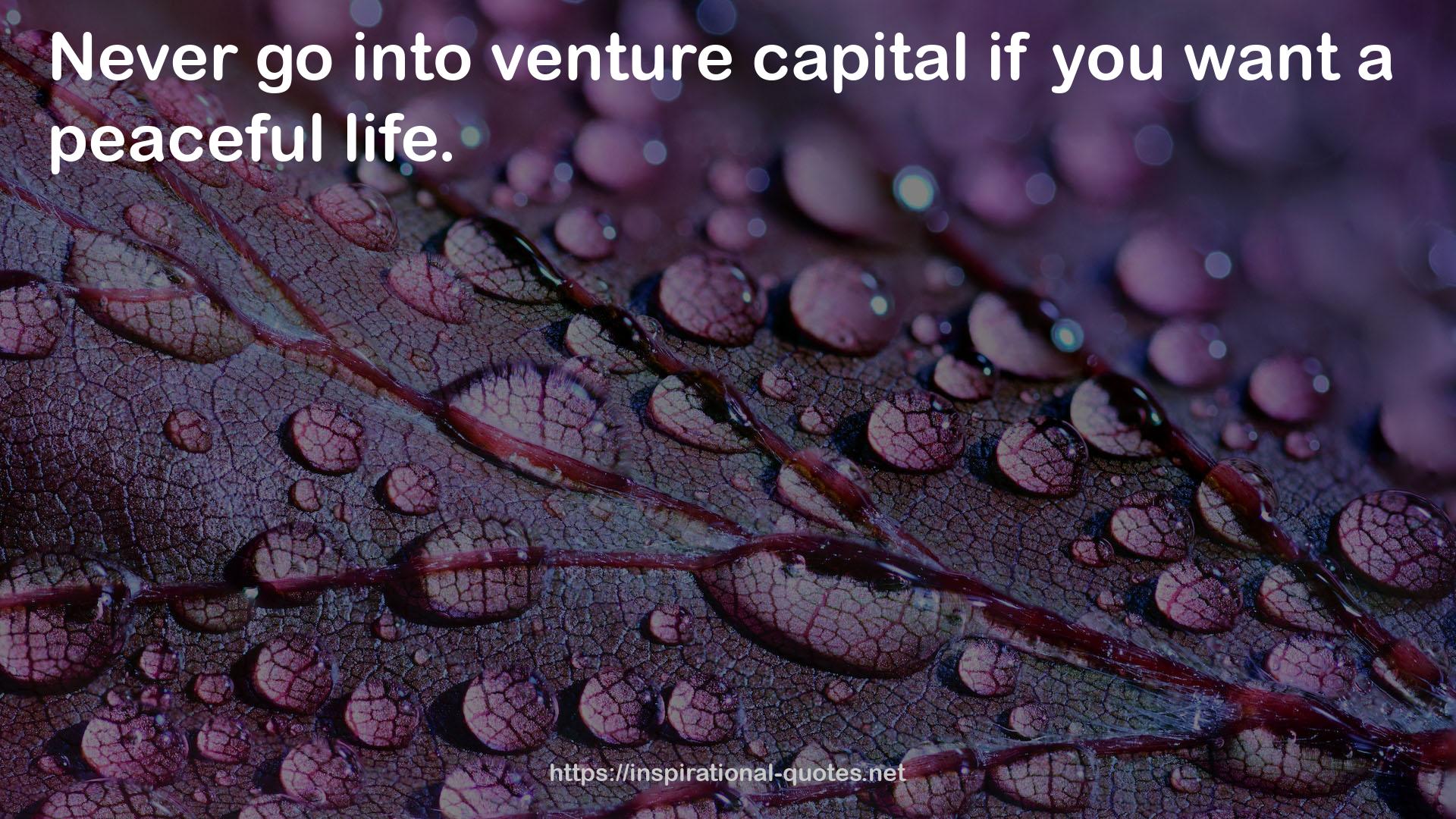 venture capital  QUOTES