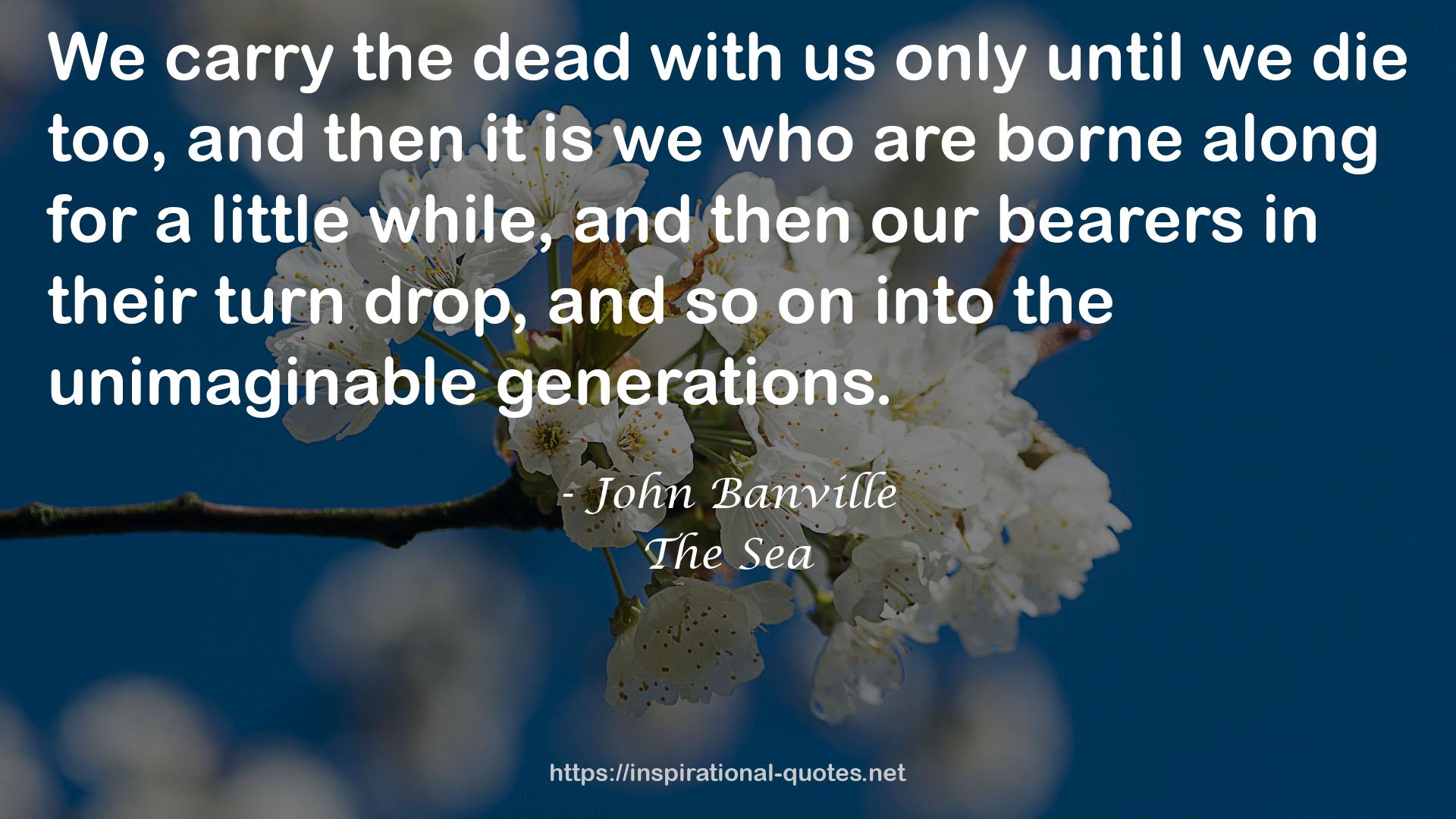 John Banville QUOTES