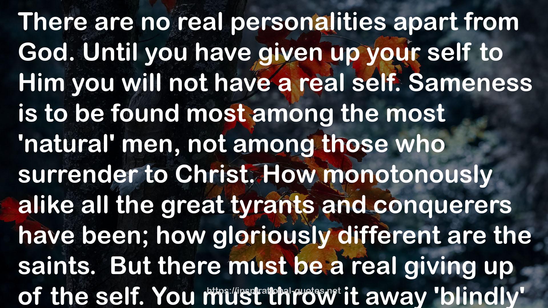 no real personalities  QUOTES