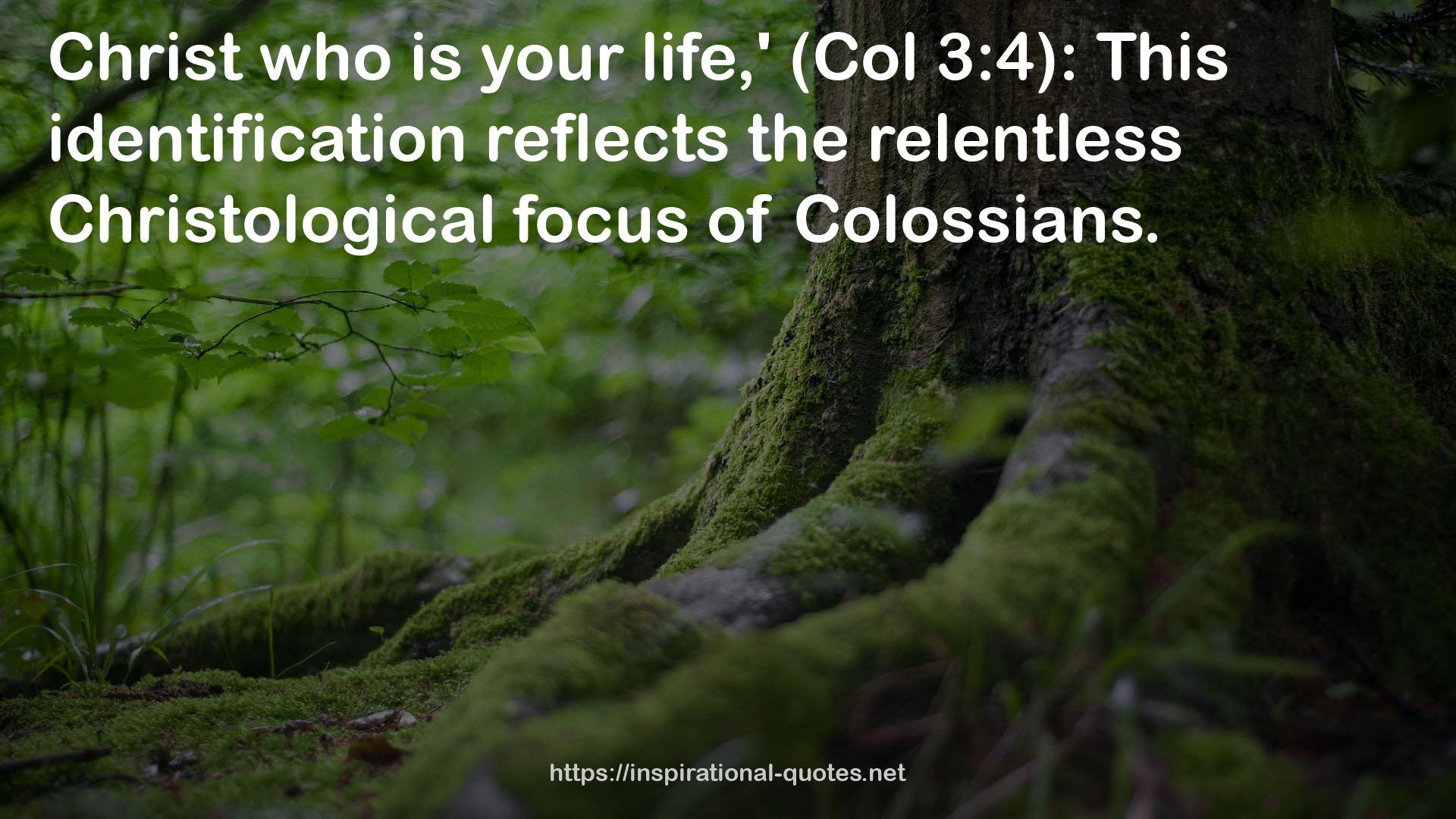 the relentless Christological focus  QUOTES