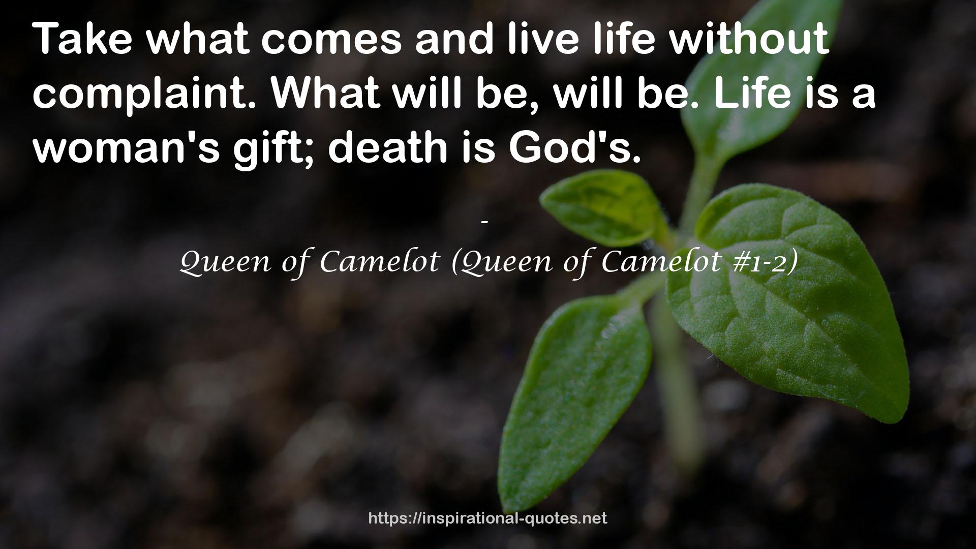 Queen of Camelot (Queen of Camelot #1-2) QUOTES