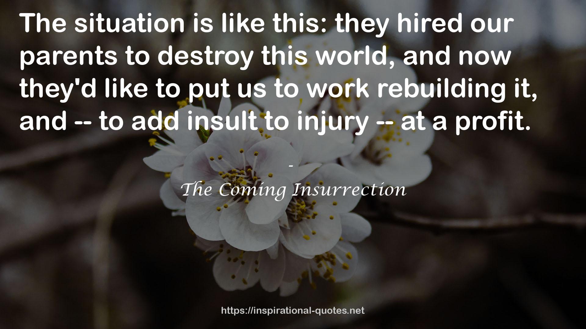The Coming Insurrection QUOTES