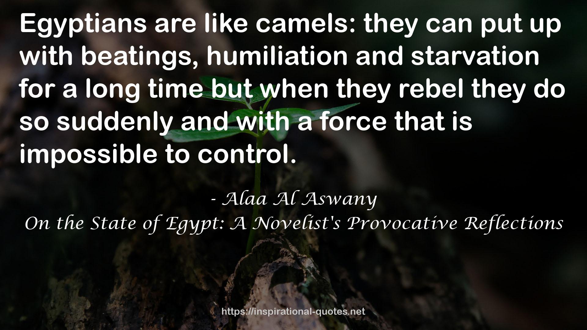 On the State of Egypt: A Novelist's Provocative Reflections QUOTES