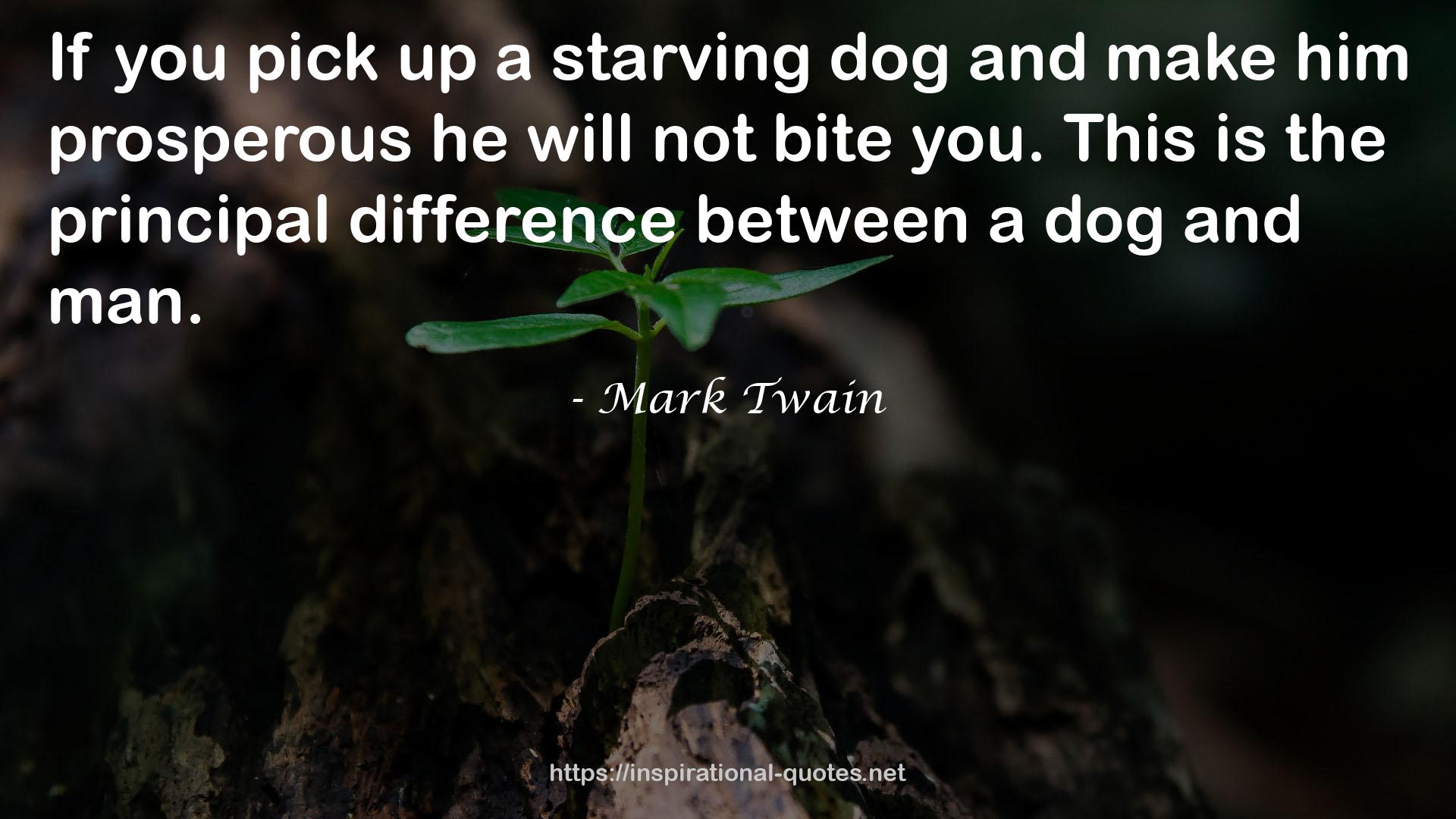 a starving dog  QUOTES