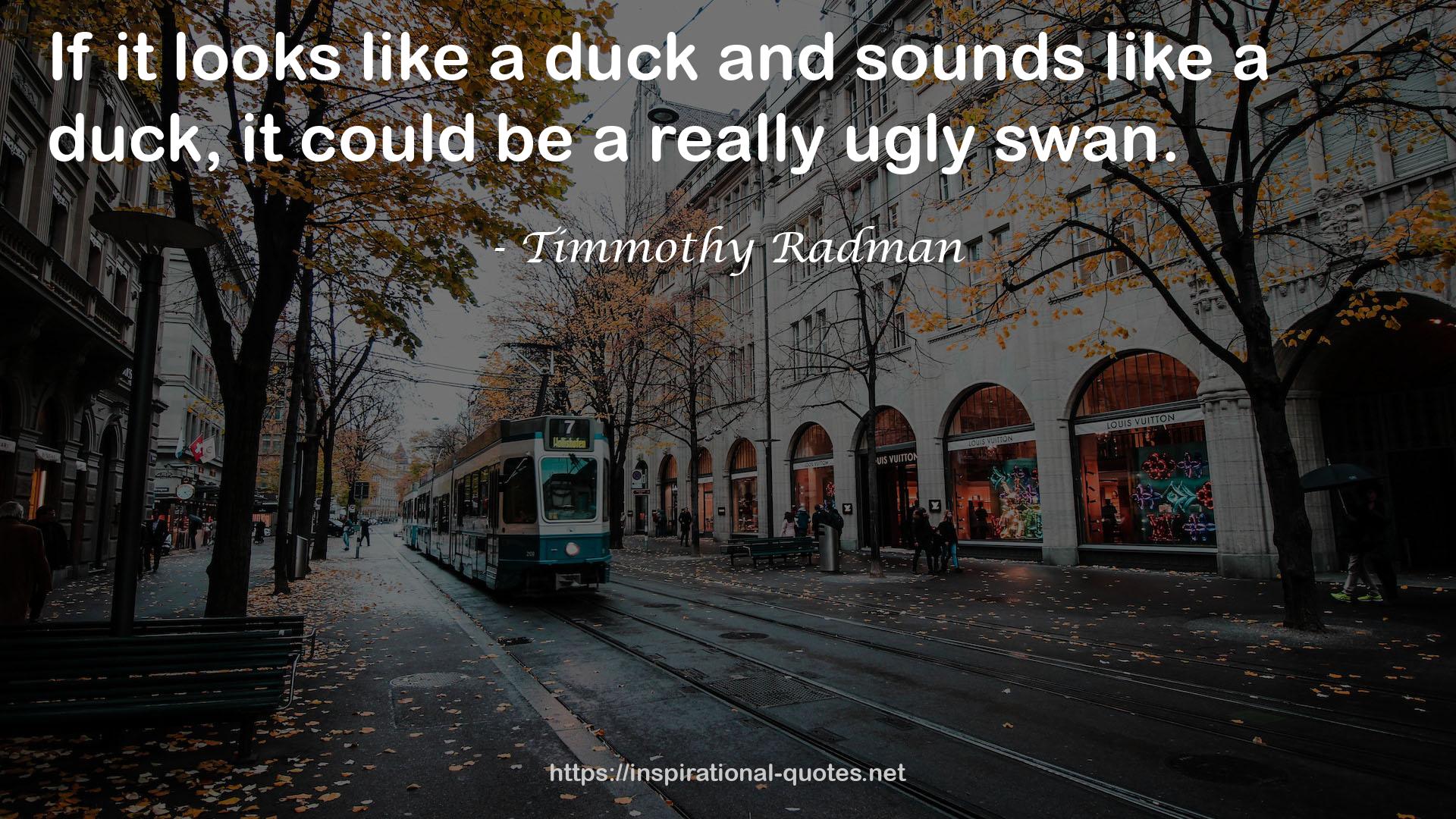 Timmothy Radman QUOTES