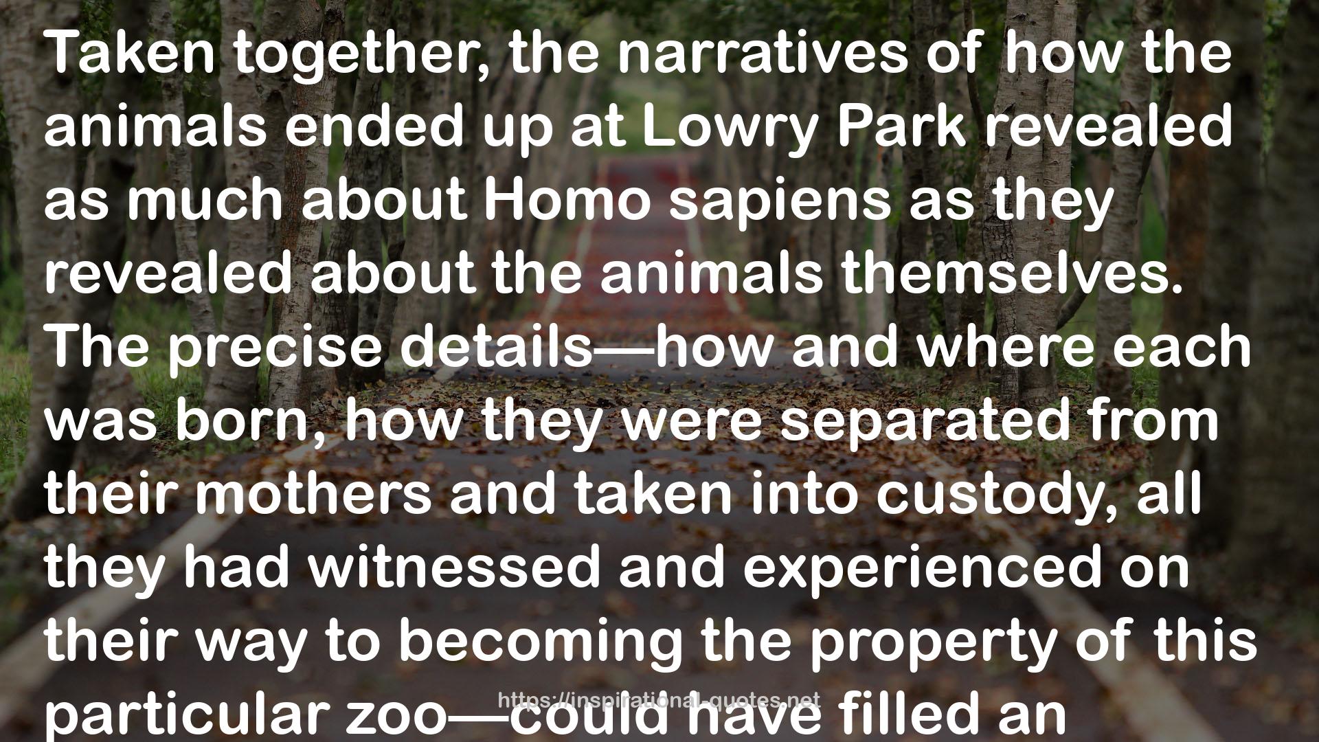 Lowry Park  QUOTES