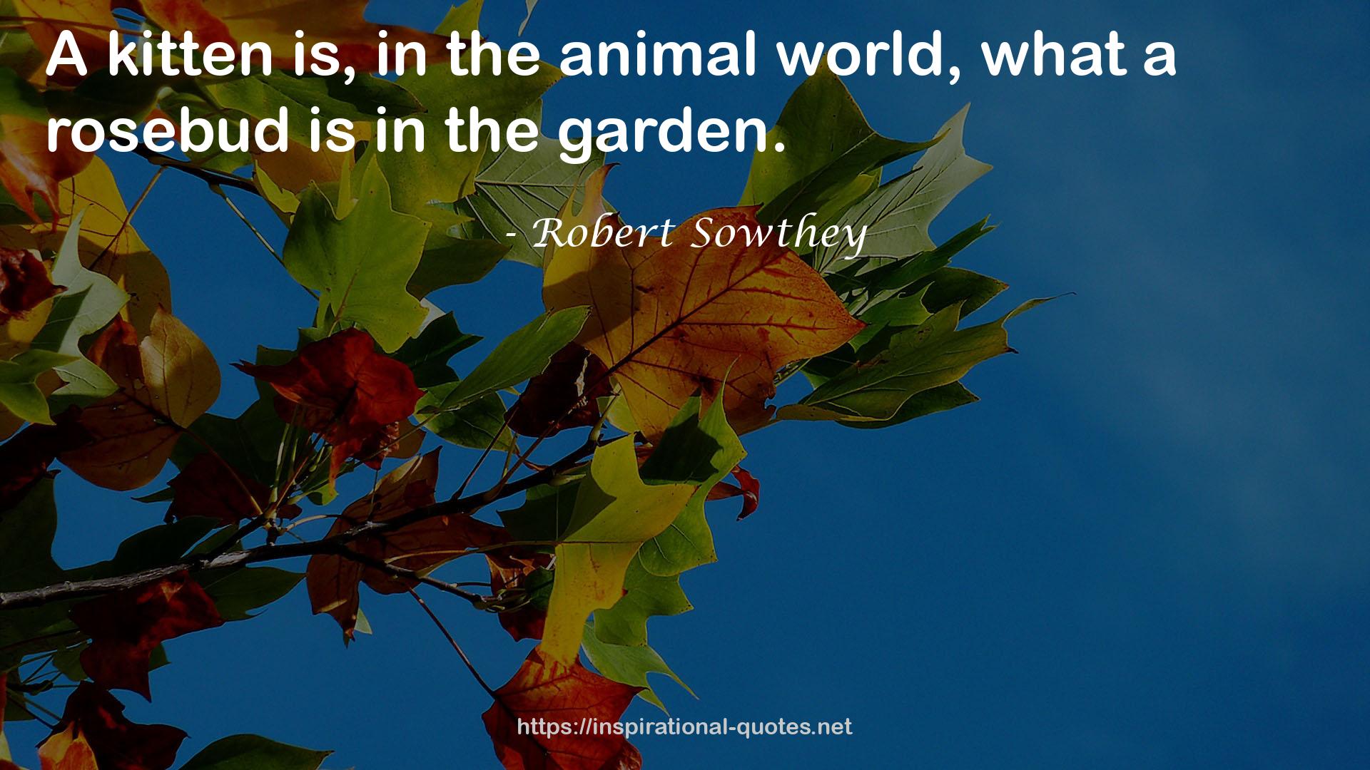 Robert Sowthey QUOTES