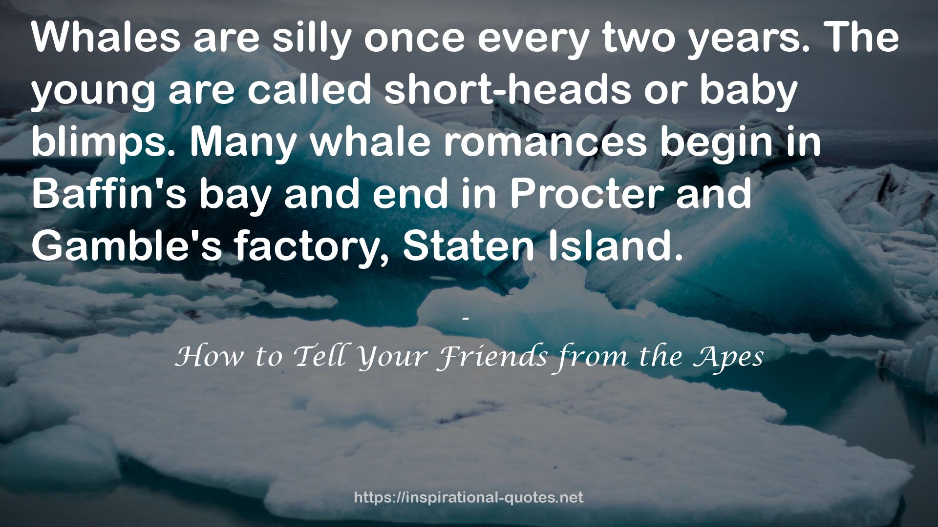 Baffin's bay  QUOTES