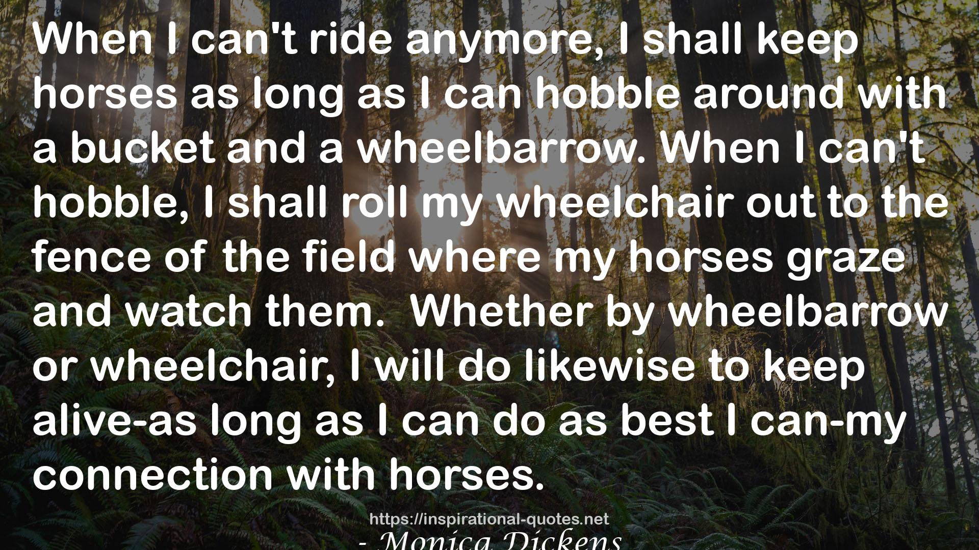 Talking of Horses QUOTES