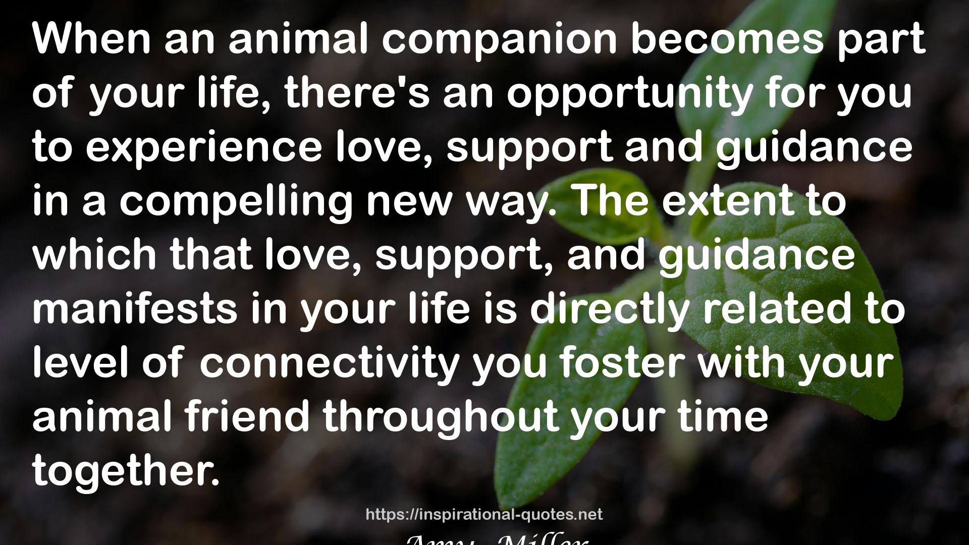 an animal companion  QUOTES