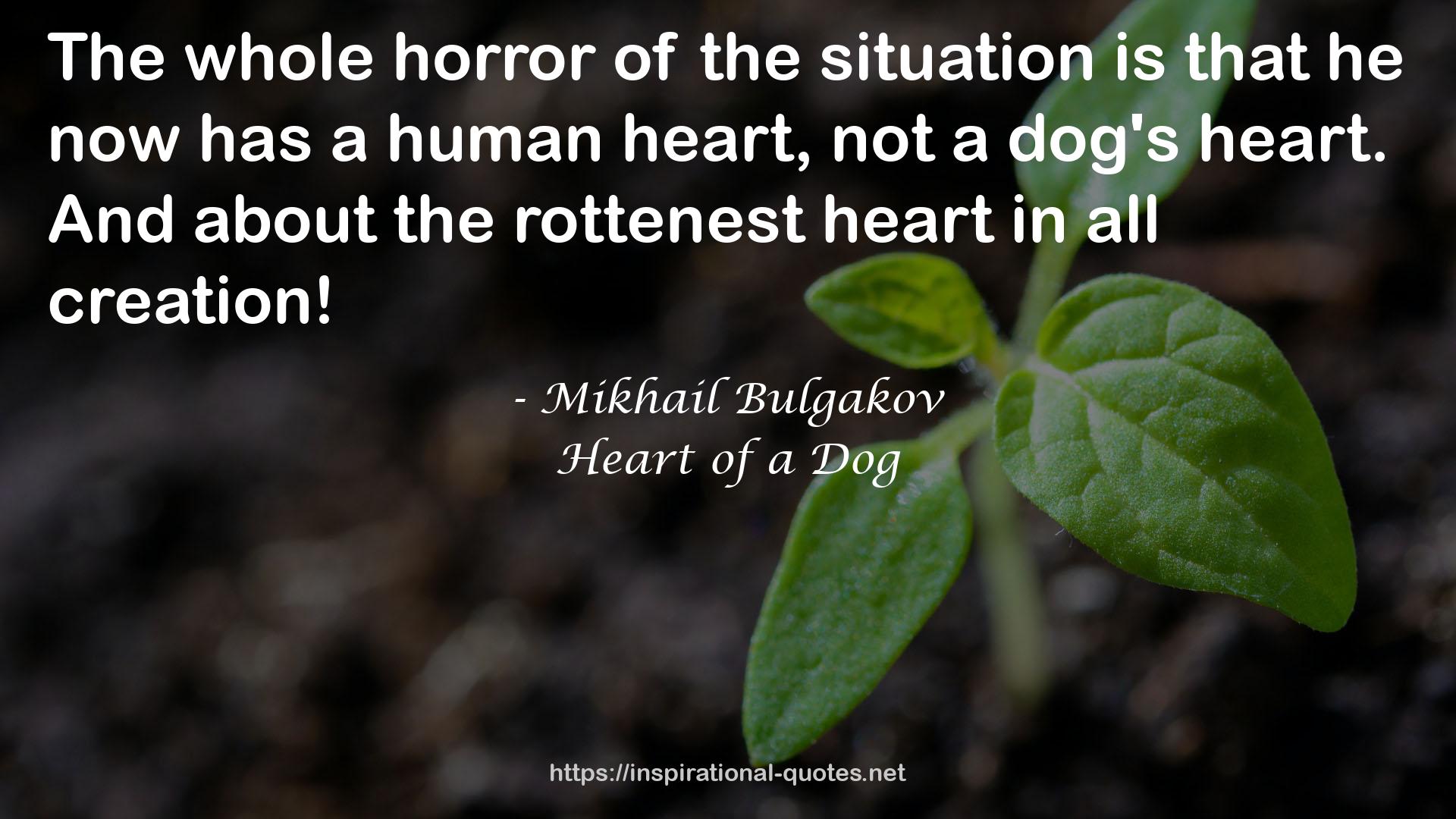 Heart of a Dog QUOTES