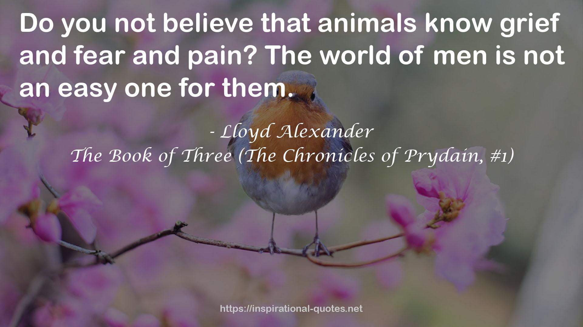 The Book of Three (The Chronicles of Prydain, #1) QUOTES