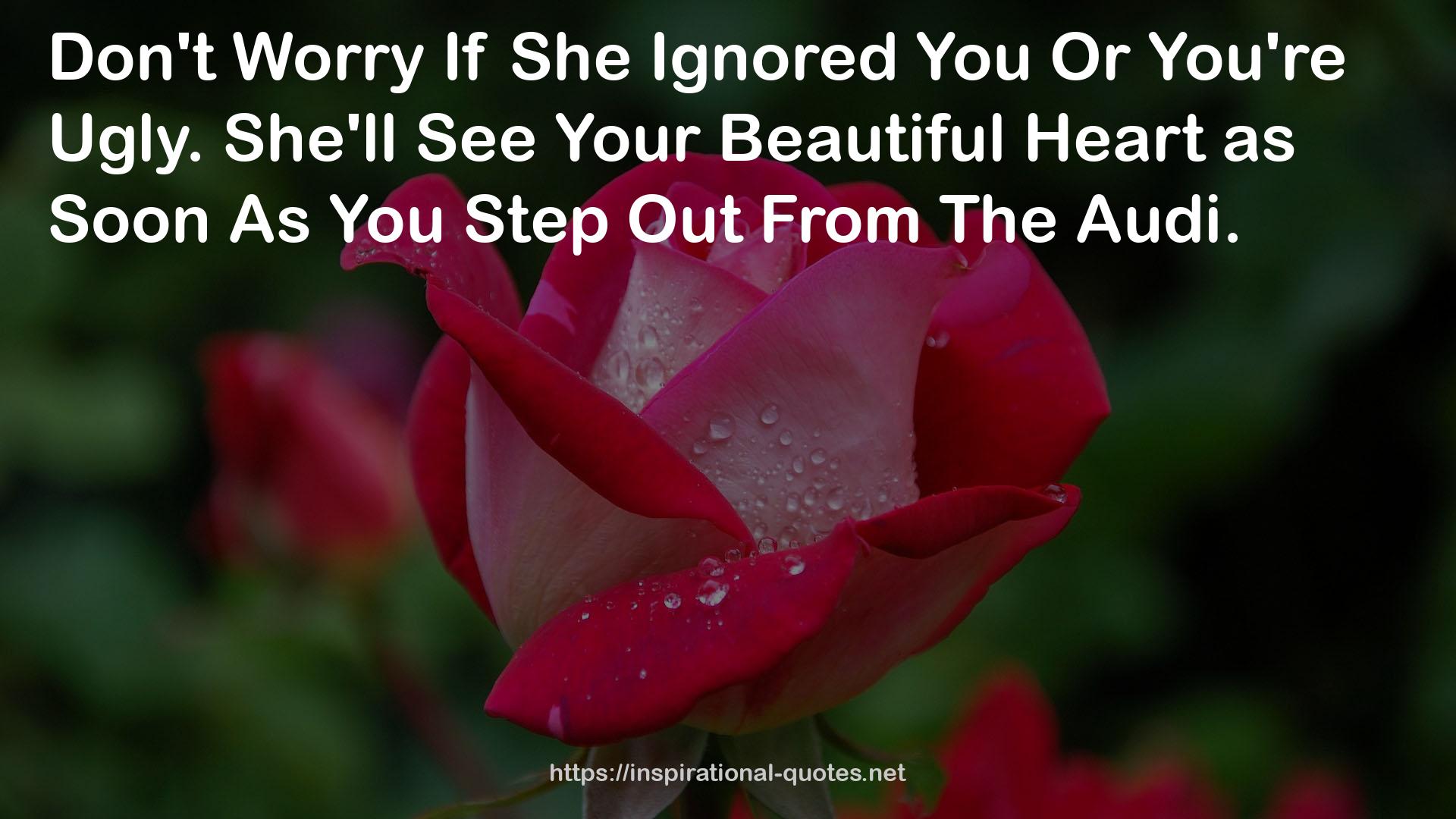 Your Beautiful Heart  QUOTES