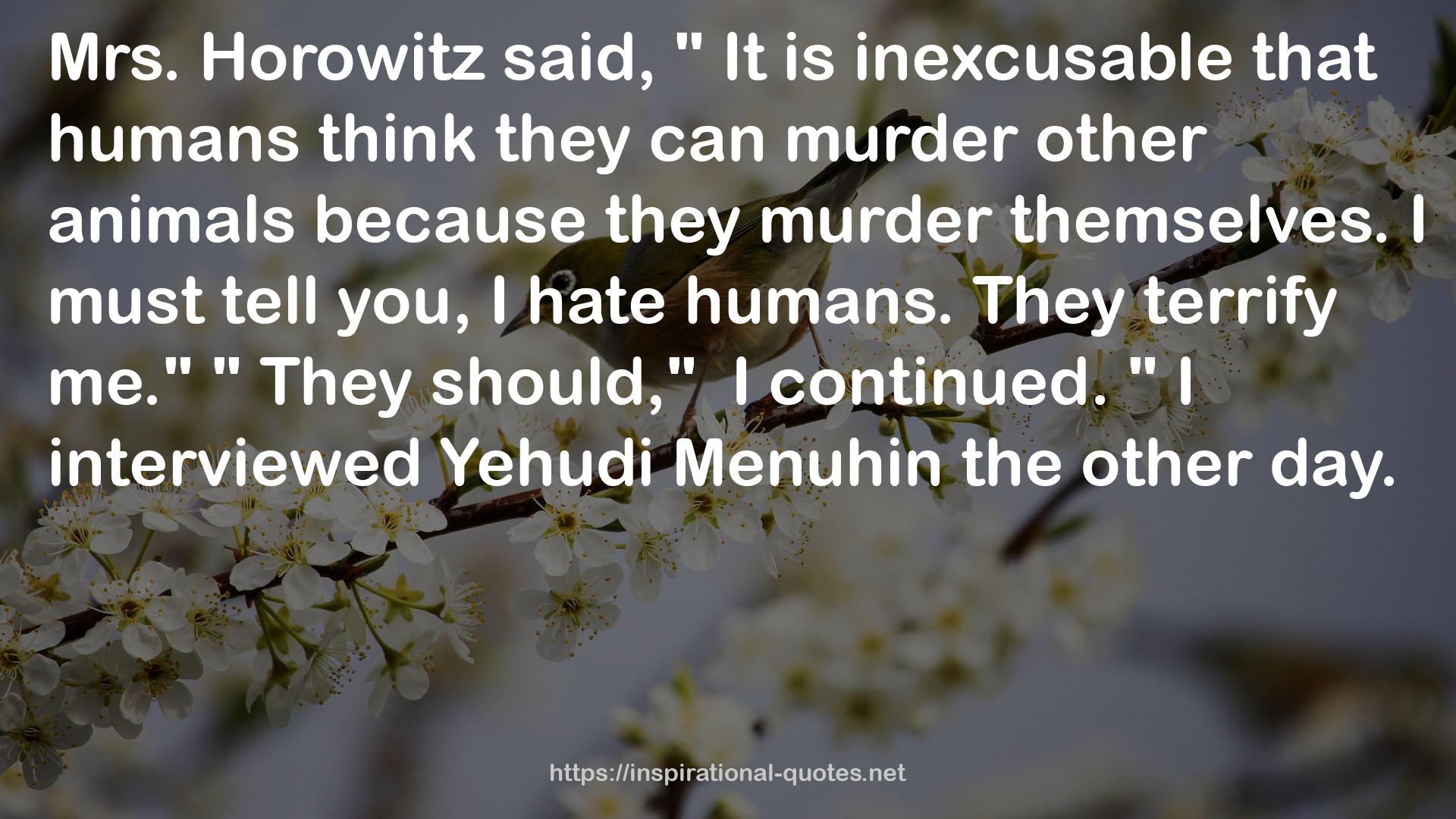 Yehudi Menuhin  QUOTES