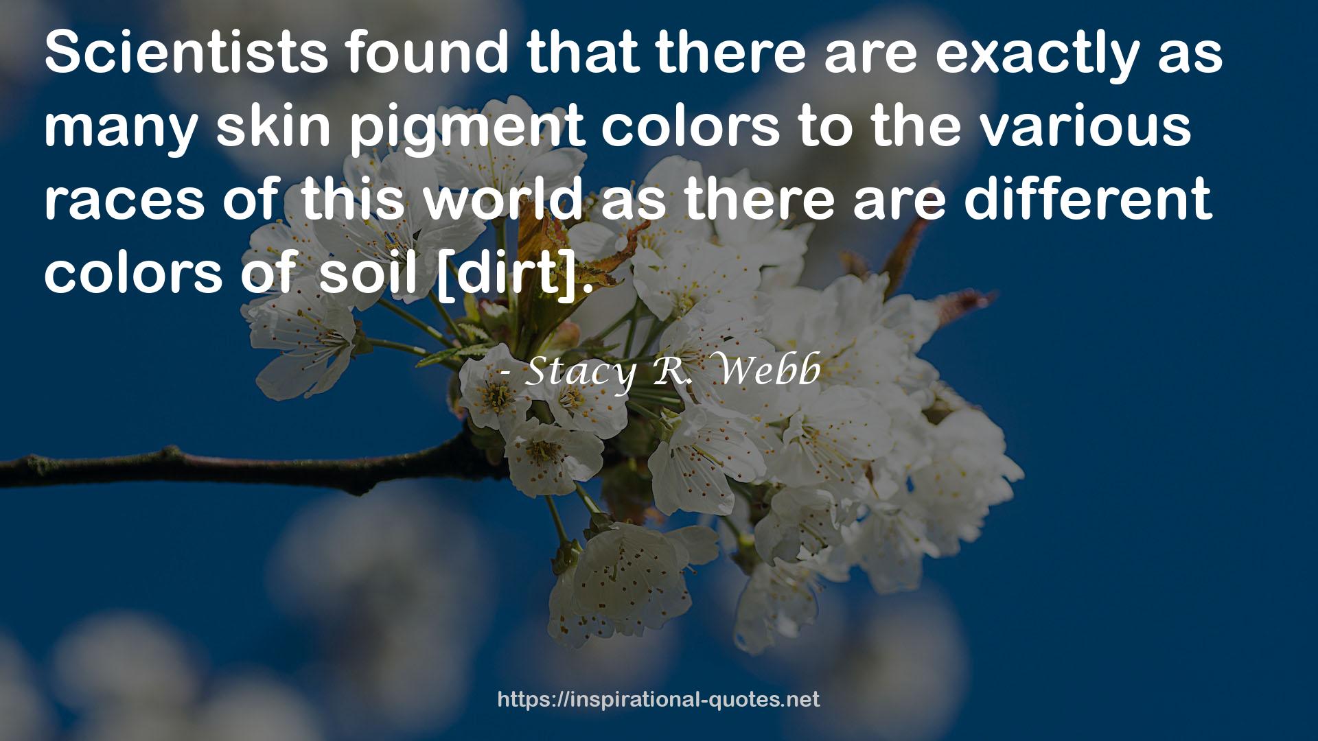 Stacy R. Webb QUOTES