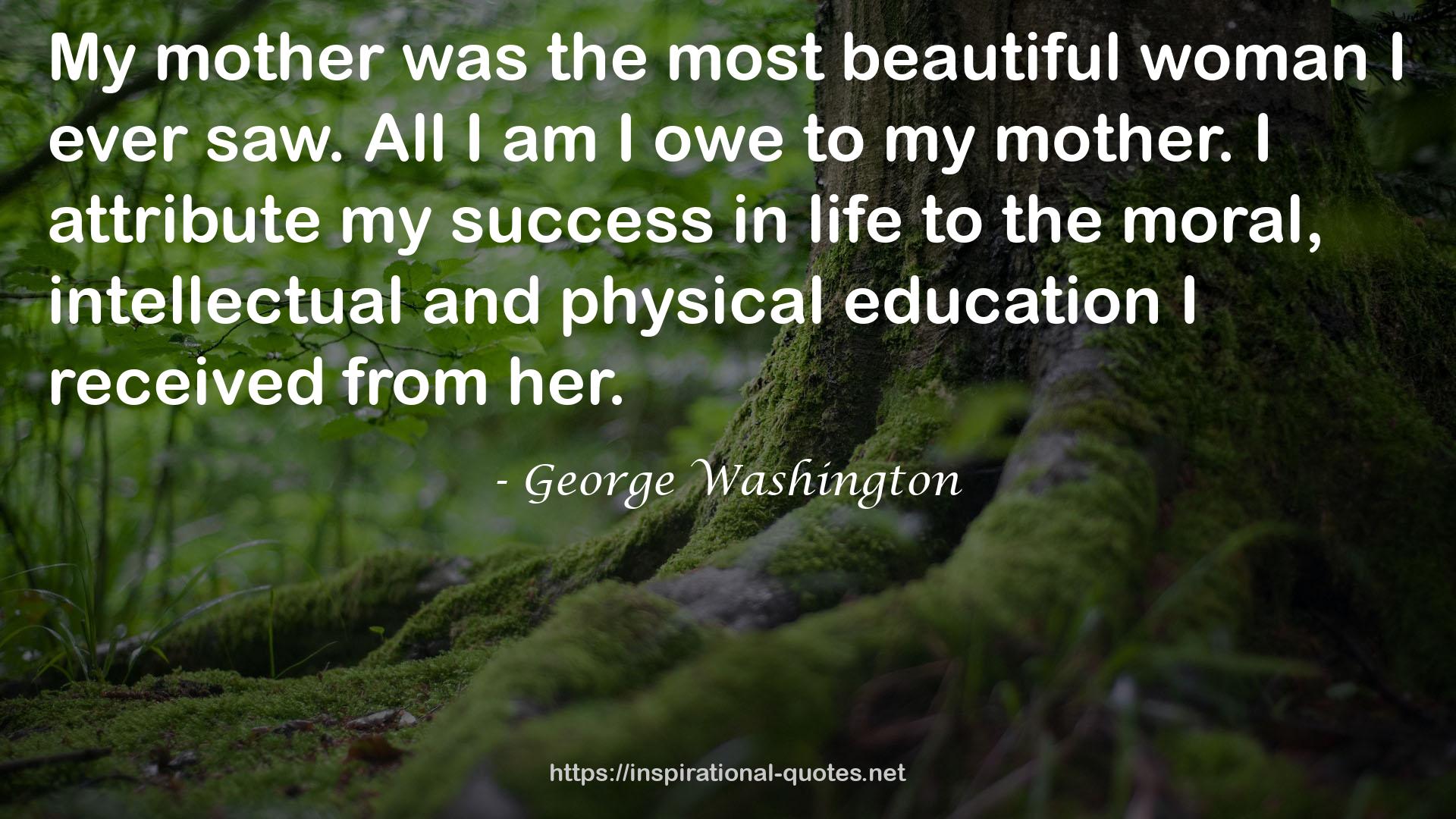 the most beautiful woman  QUOTES