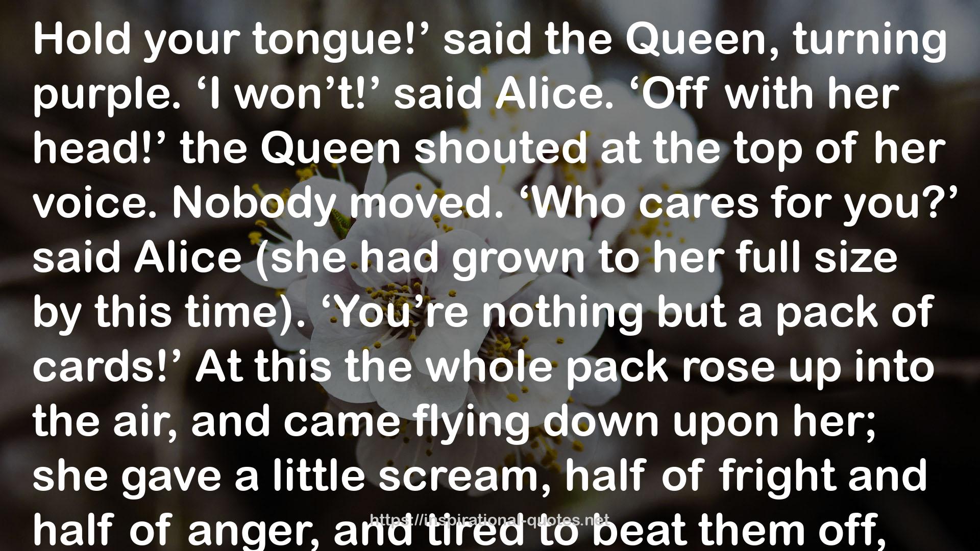 Alice’s Adventure  QUOTES