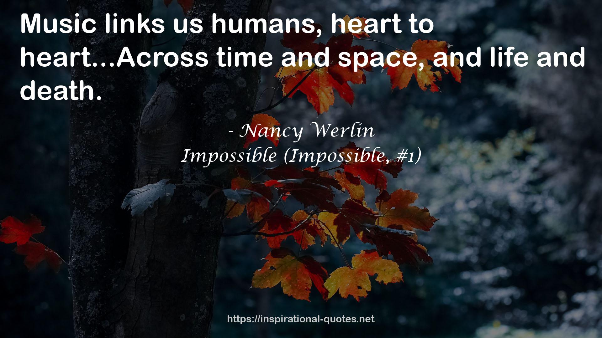 Nancy Werlin QUOTES